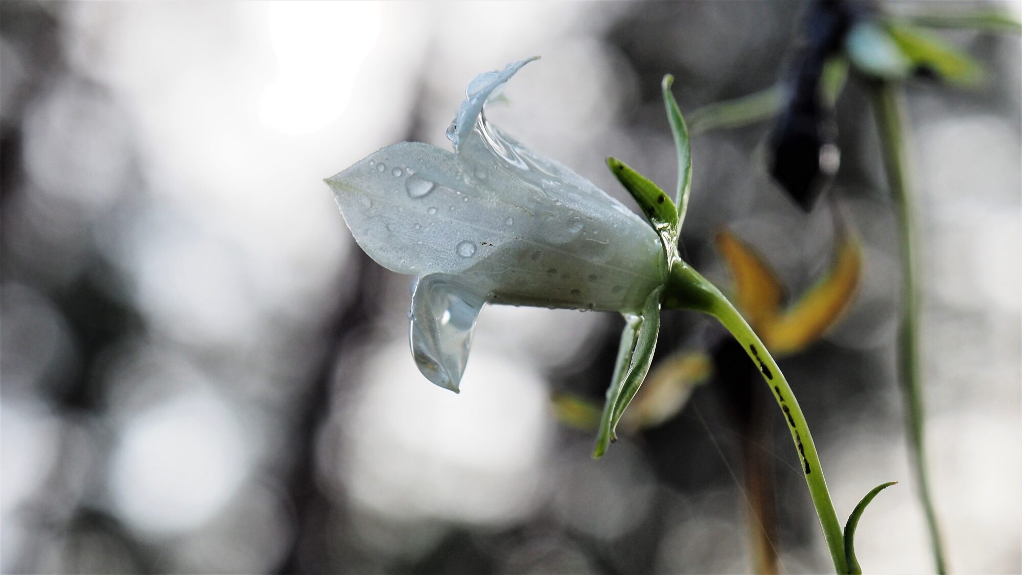Valokuvaaja: Martti Valtonen
