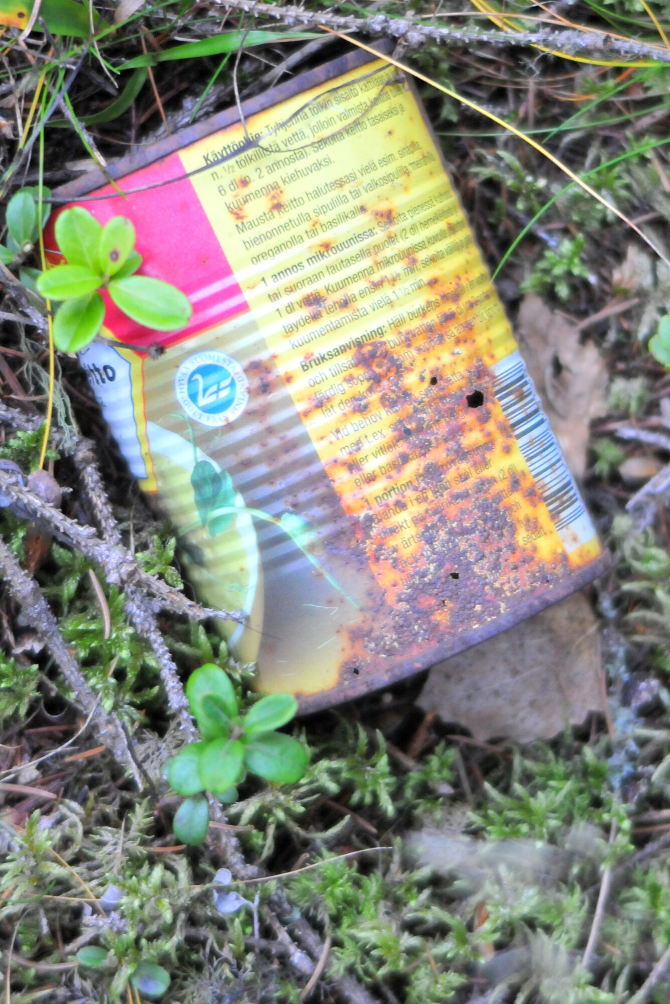 Valokuvaaja: Kaarlo Asikainen