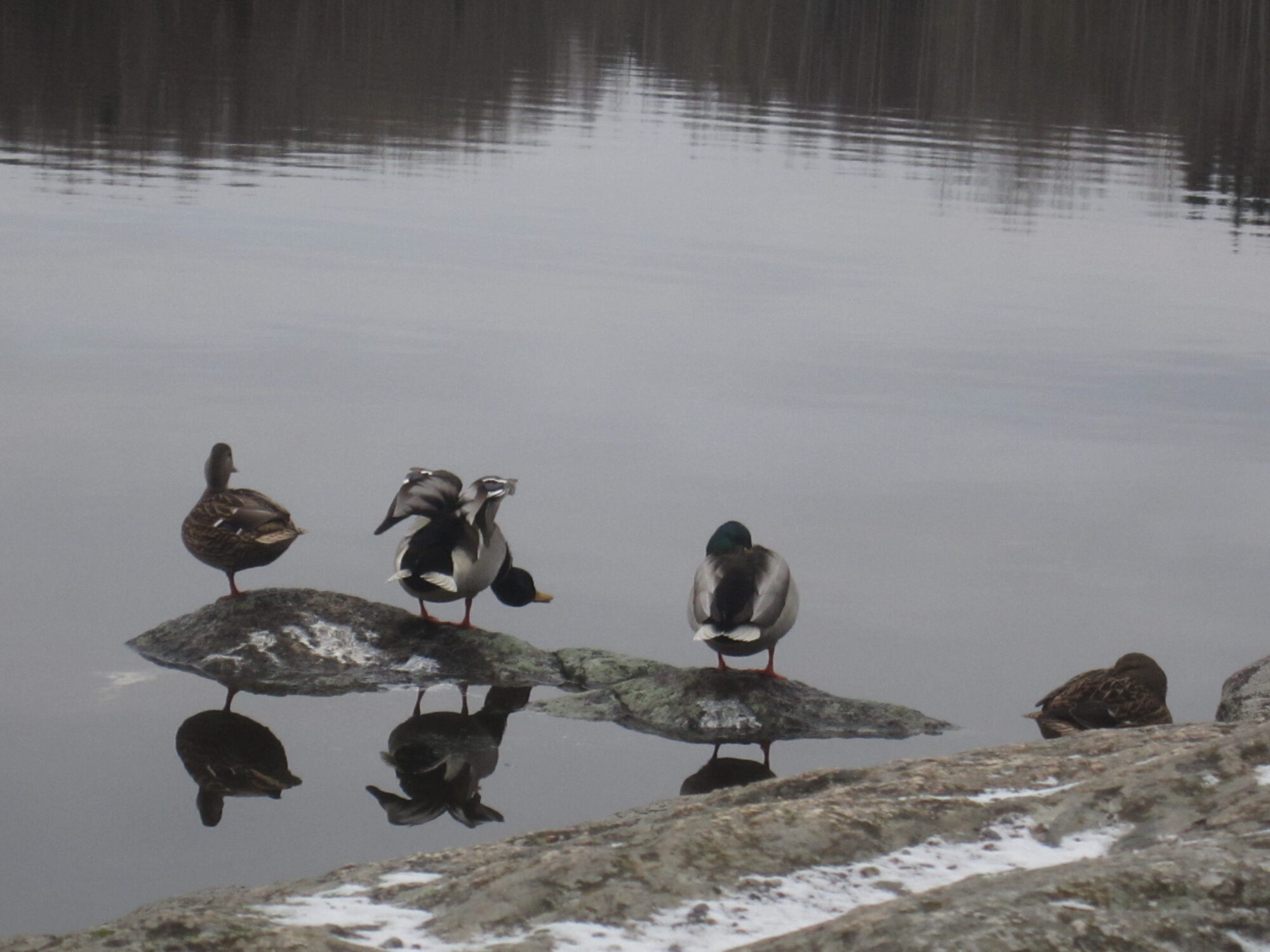 Valokuvaaja: Marita Portin