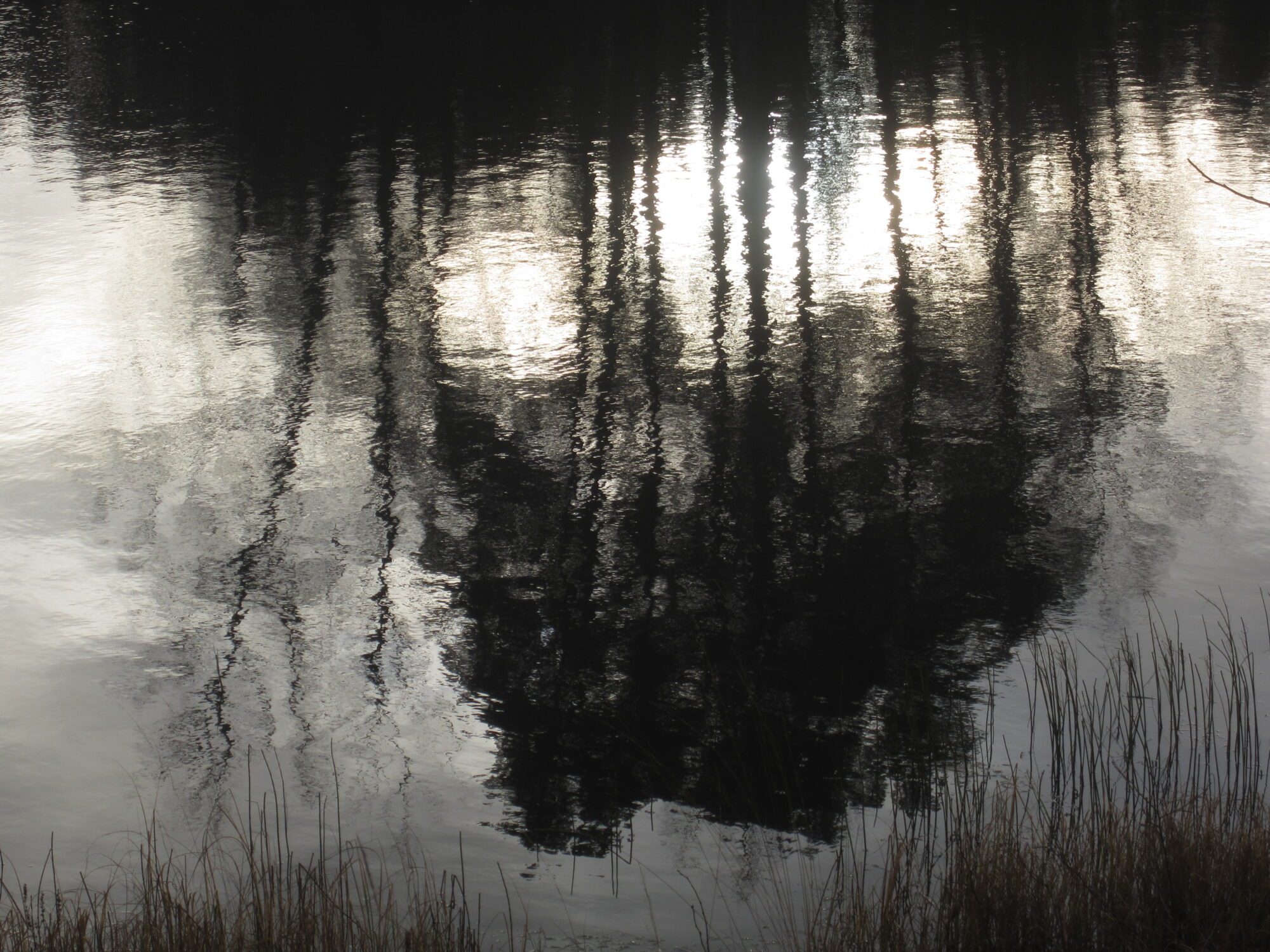 Valokuvaaja: Marita Portin