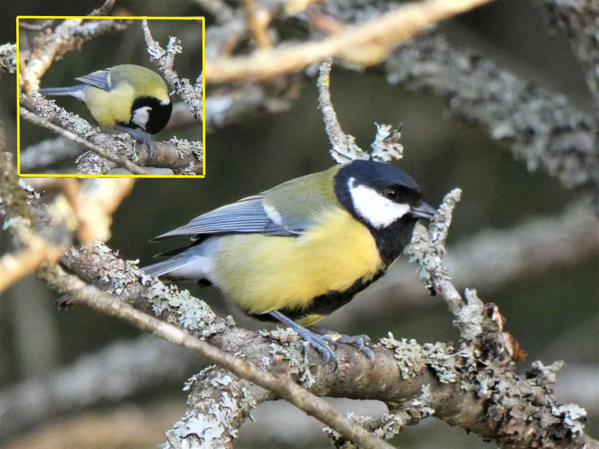 Valokuvaaja: Pekka Heino