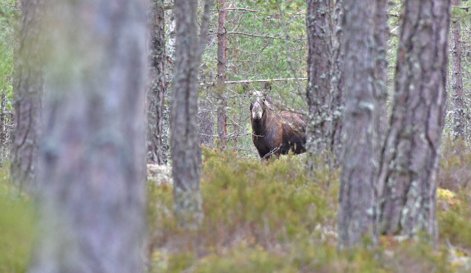 Valokuvaaja: Reijo Juurinen
