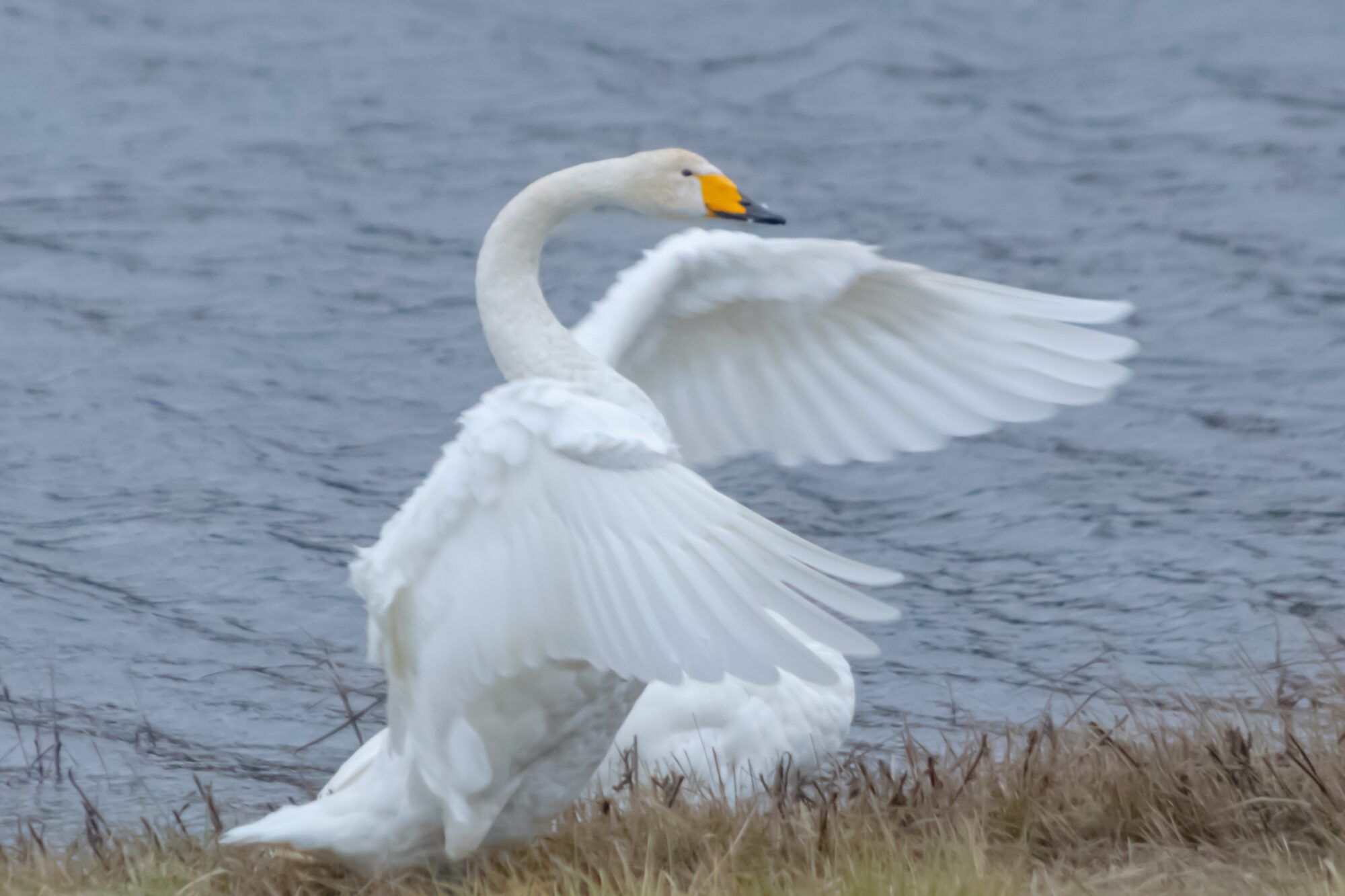 Valokuvaaja: Leena Rissanen