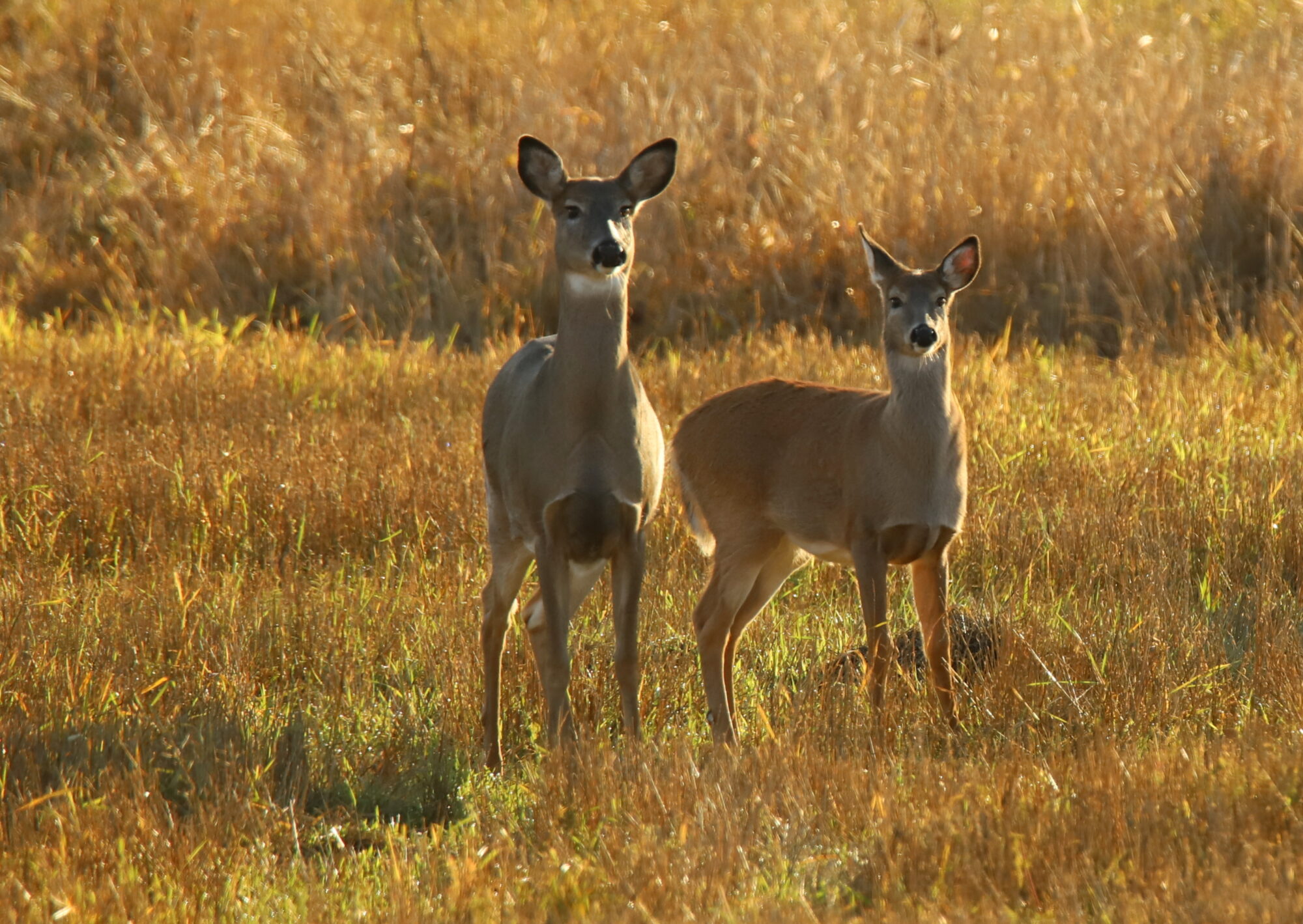 Valokuvaaja: sirpa jyske