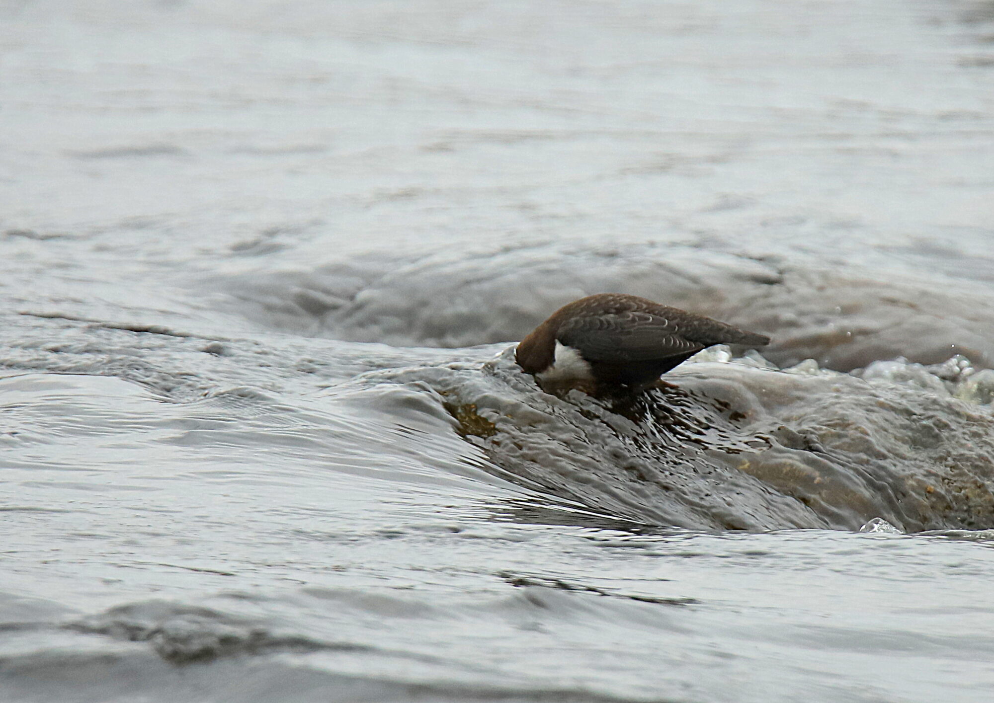 Valokuvaaja: sirpa jyske