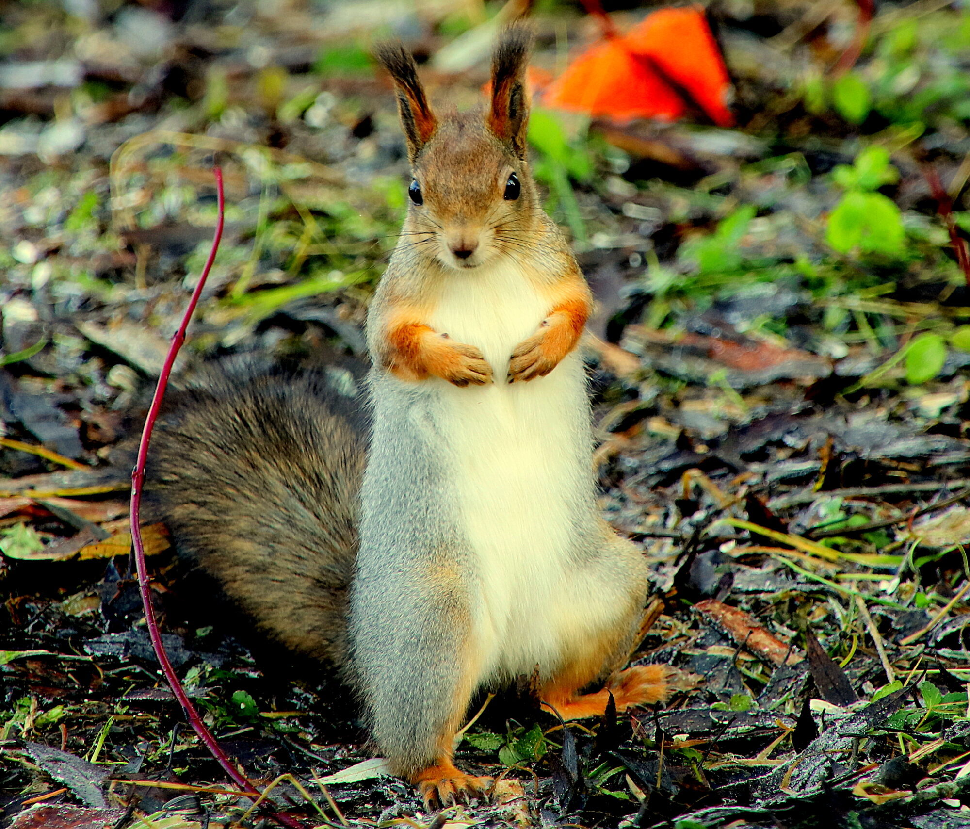 Valokuvaaja: sirpa jyske