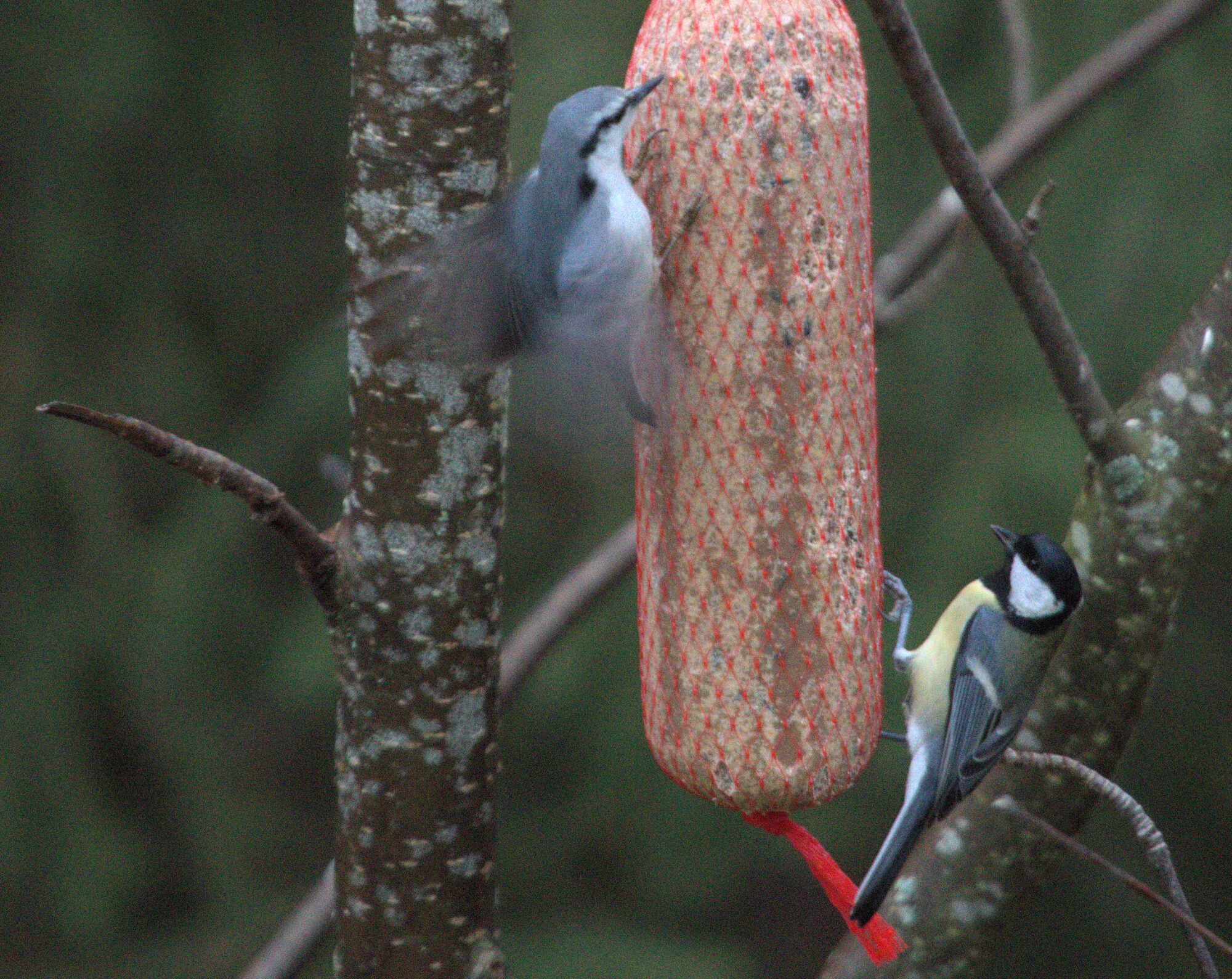 Valokuvaaja: Ahti Keränen
