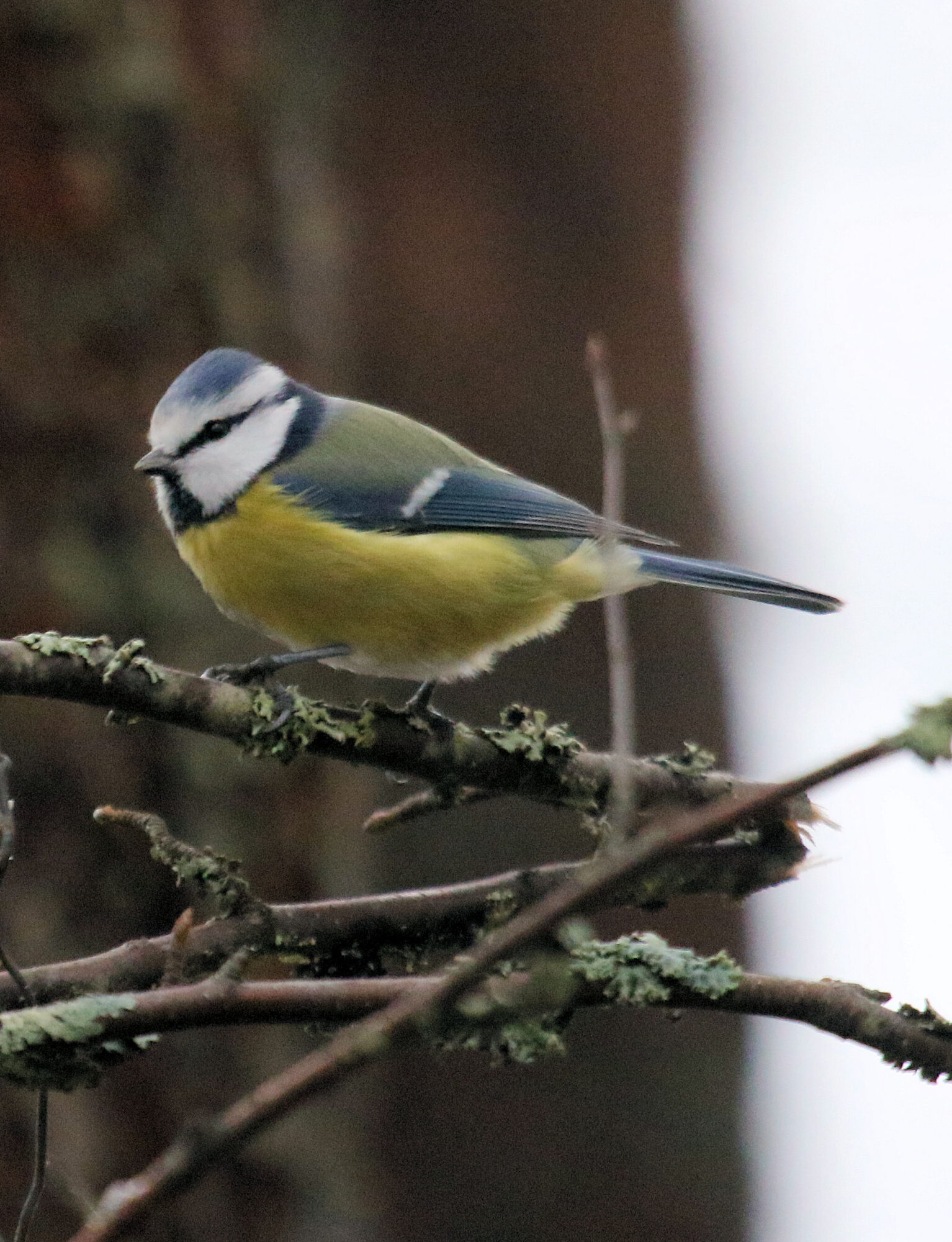 Valokuvaaja: Ahti Keränen Valokuvaaja: Ahti Keränen