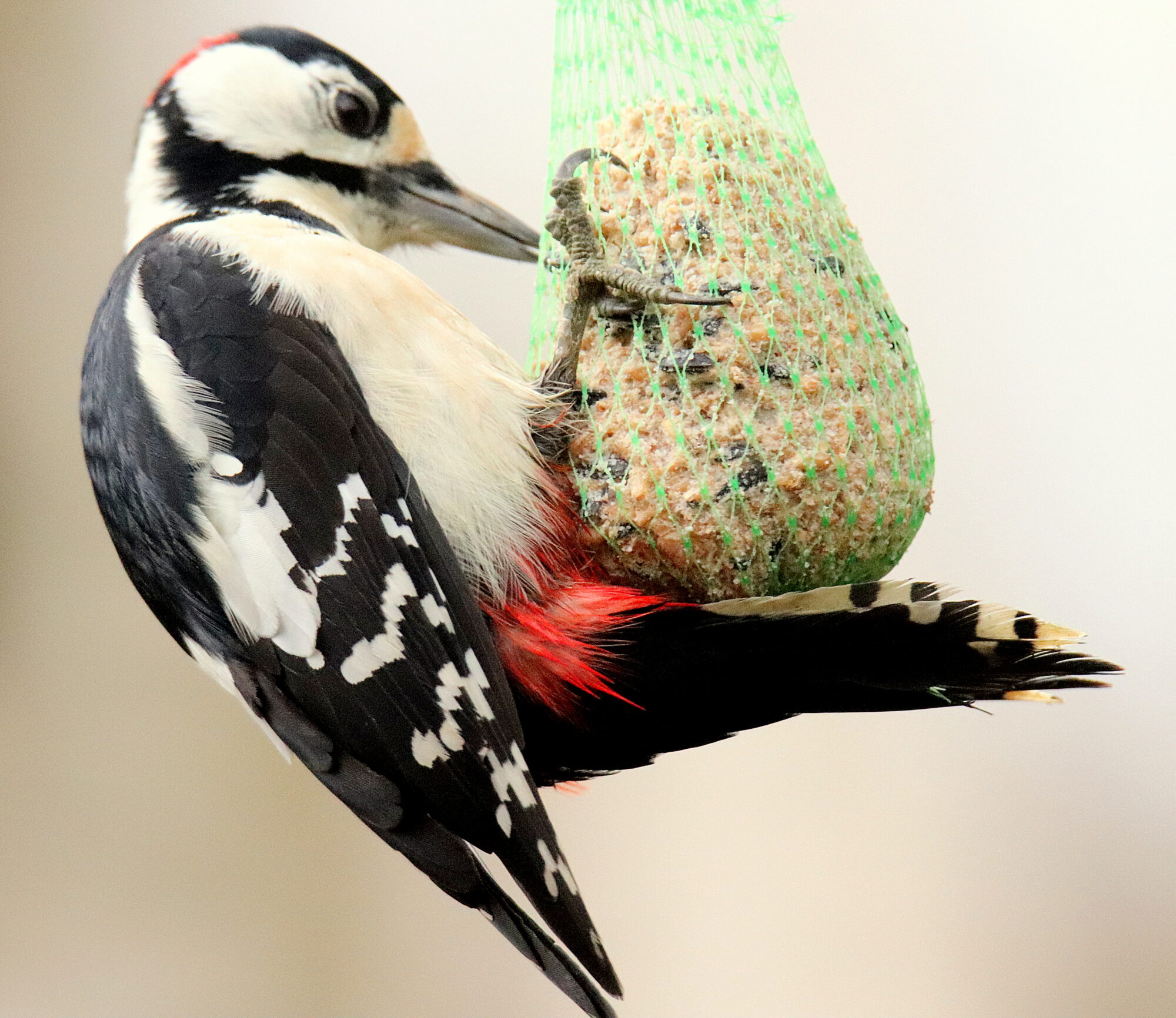 Valokuvaaja: sirpa jyske