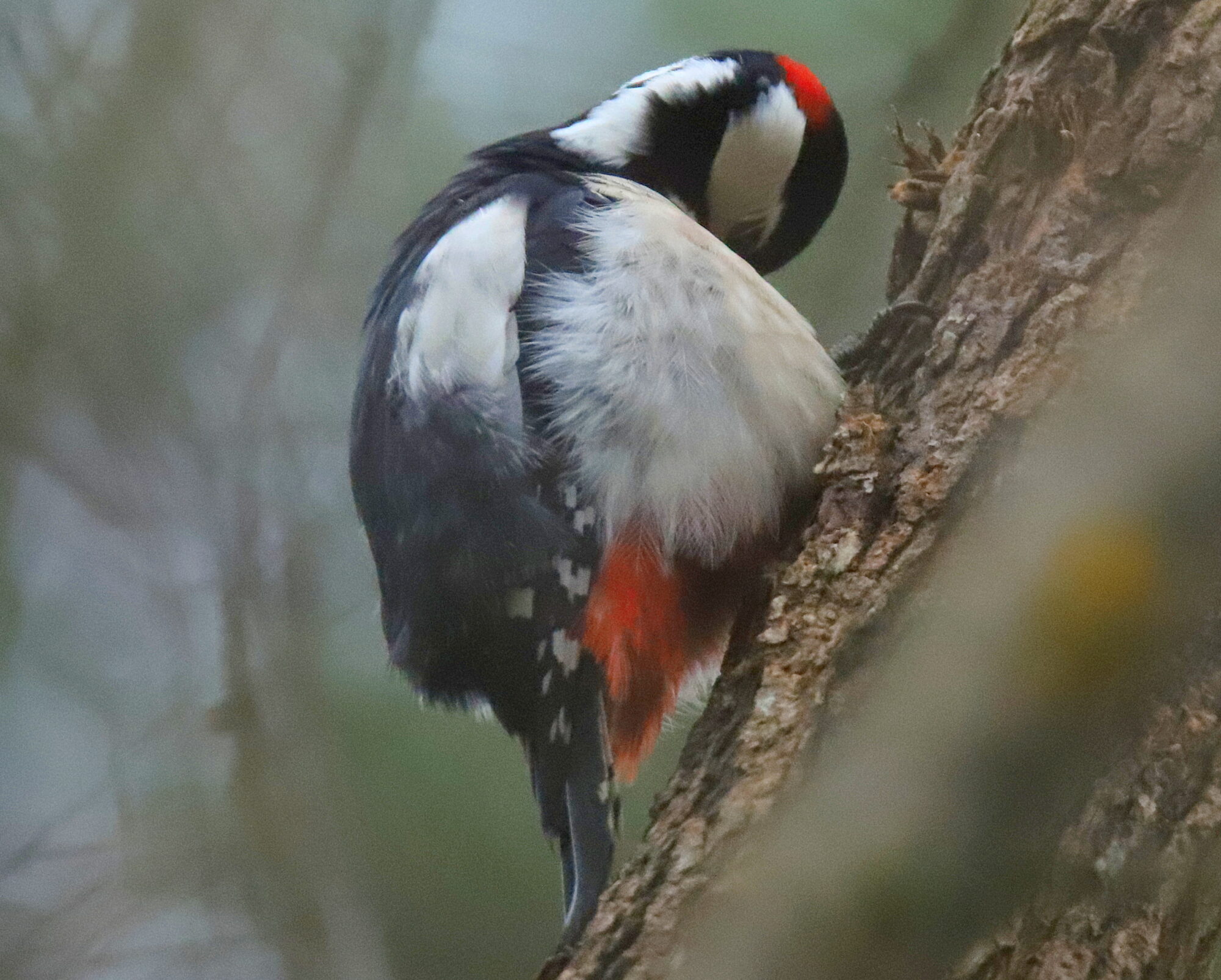 Valokuvaaja: sirpa jyske