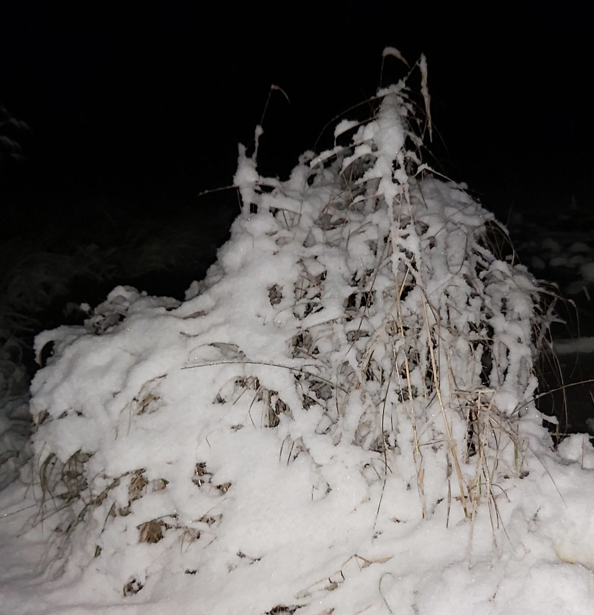 Valokuvaaja: Kaisa Marila Valokuvaaja: Kaisa Marila