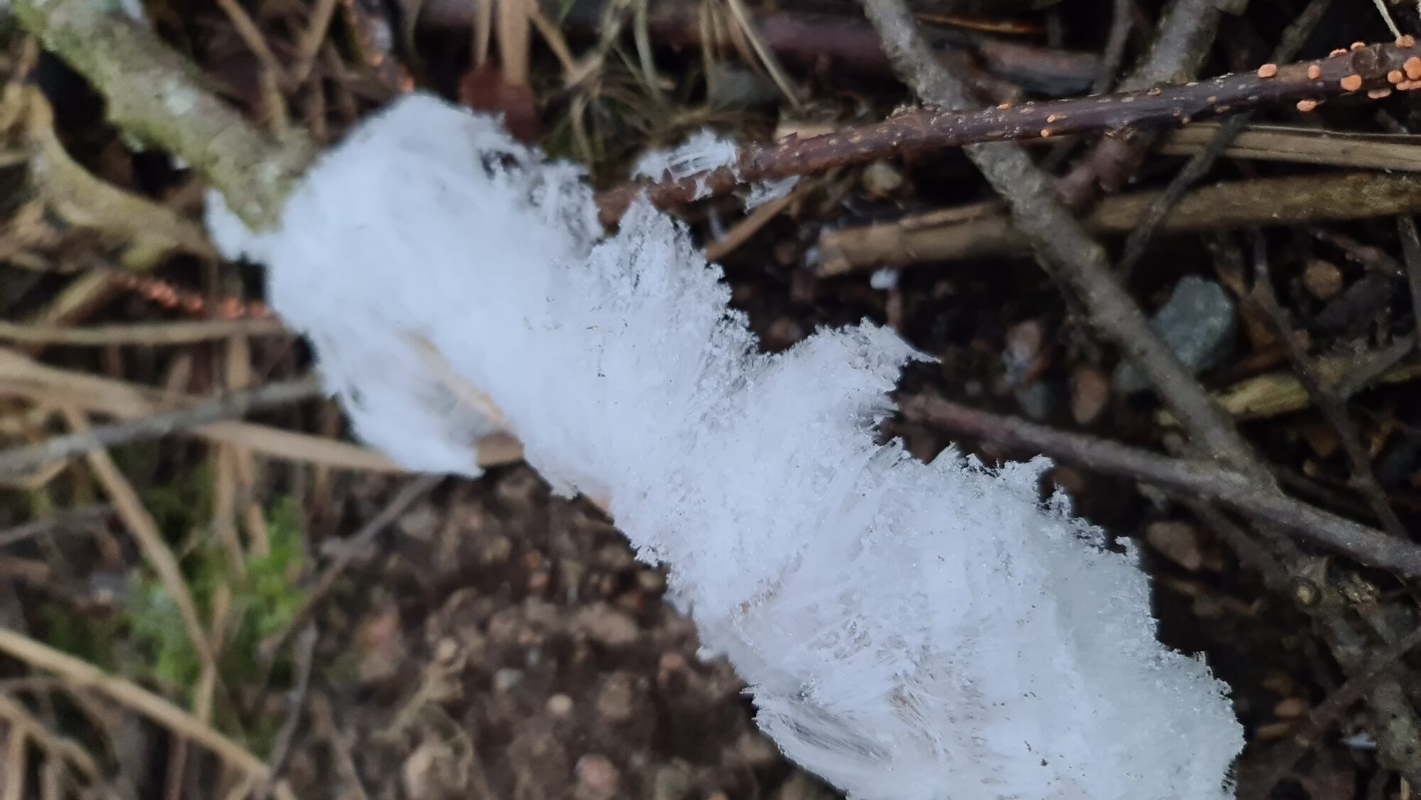 Valokuvaaja: Otto Räsänen