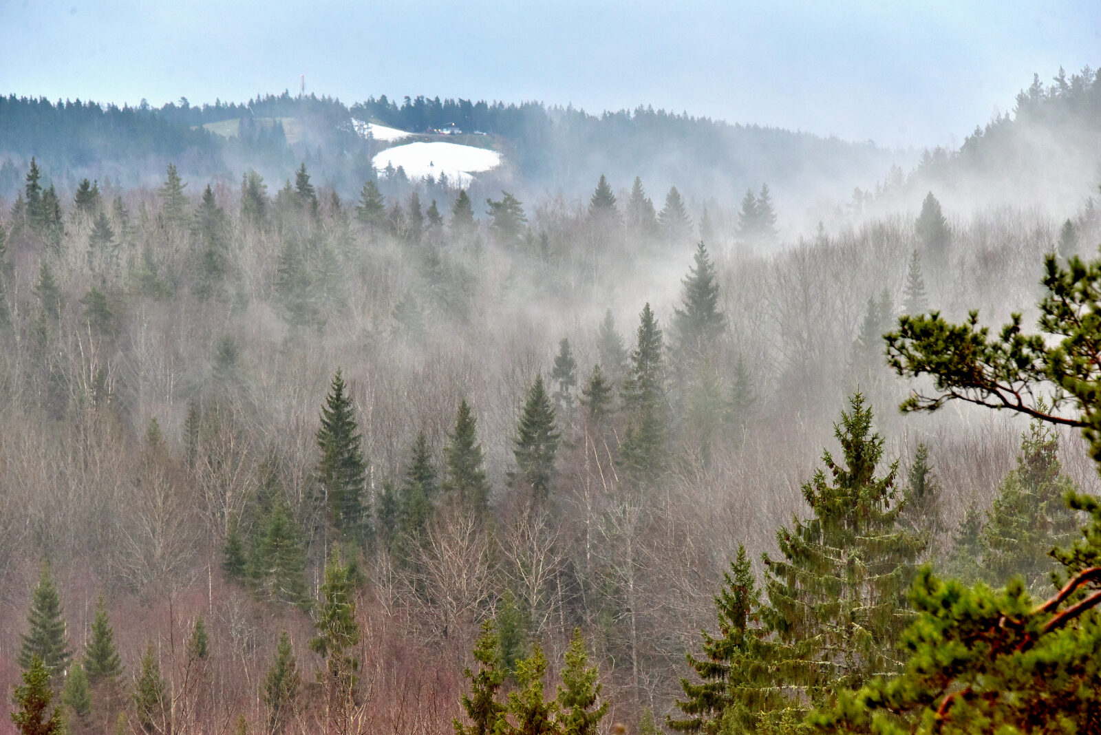 Valokuvaaja: Reijo Juurinen