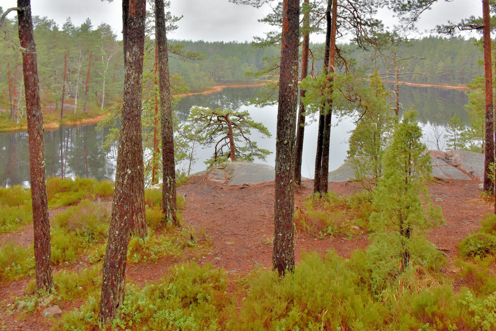 Valokuvaaja: Reijo Juurinen