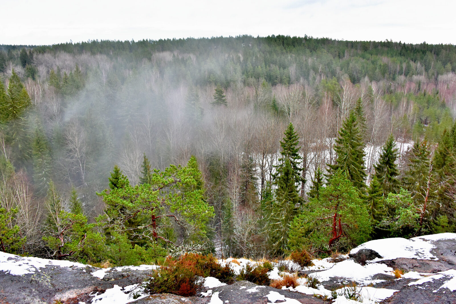 Valokuvaaja: Reijo Juurinen