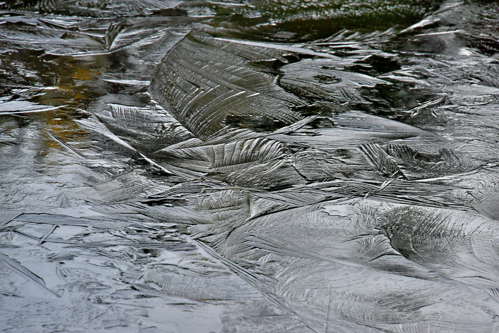 Valokuvaaja: Reijo Juurinen