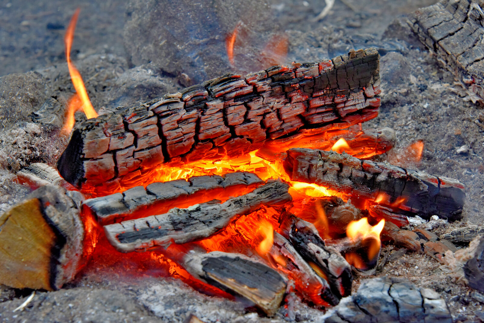 Valokuvaaja: Reijo Juurinen