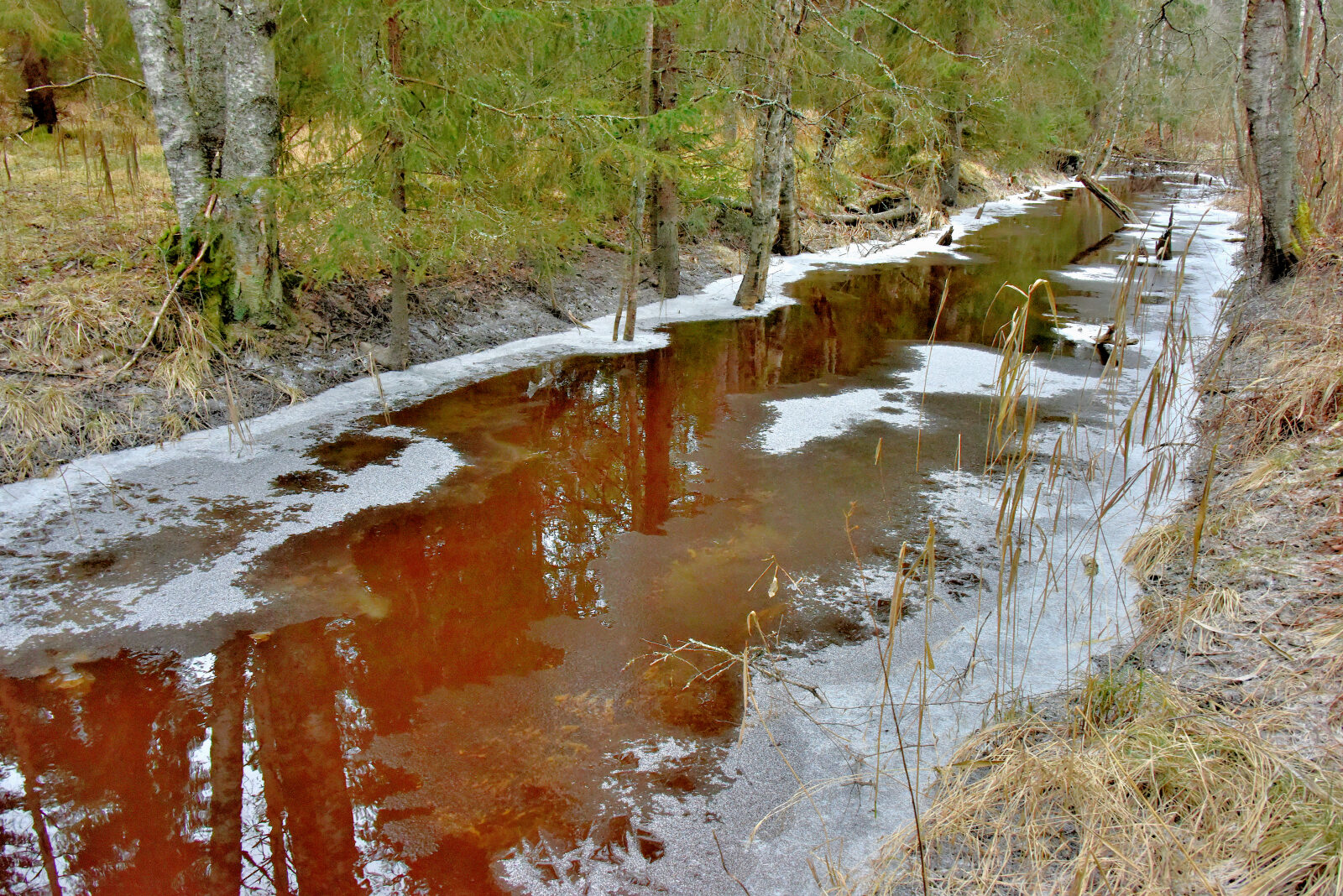 Valokuvaaja: Reijo Juurinen