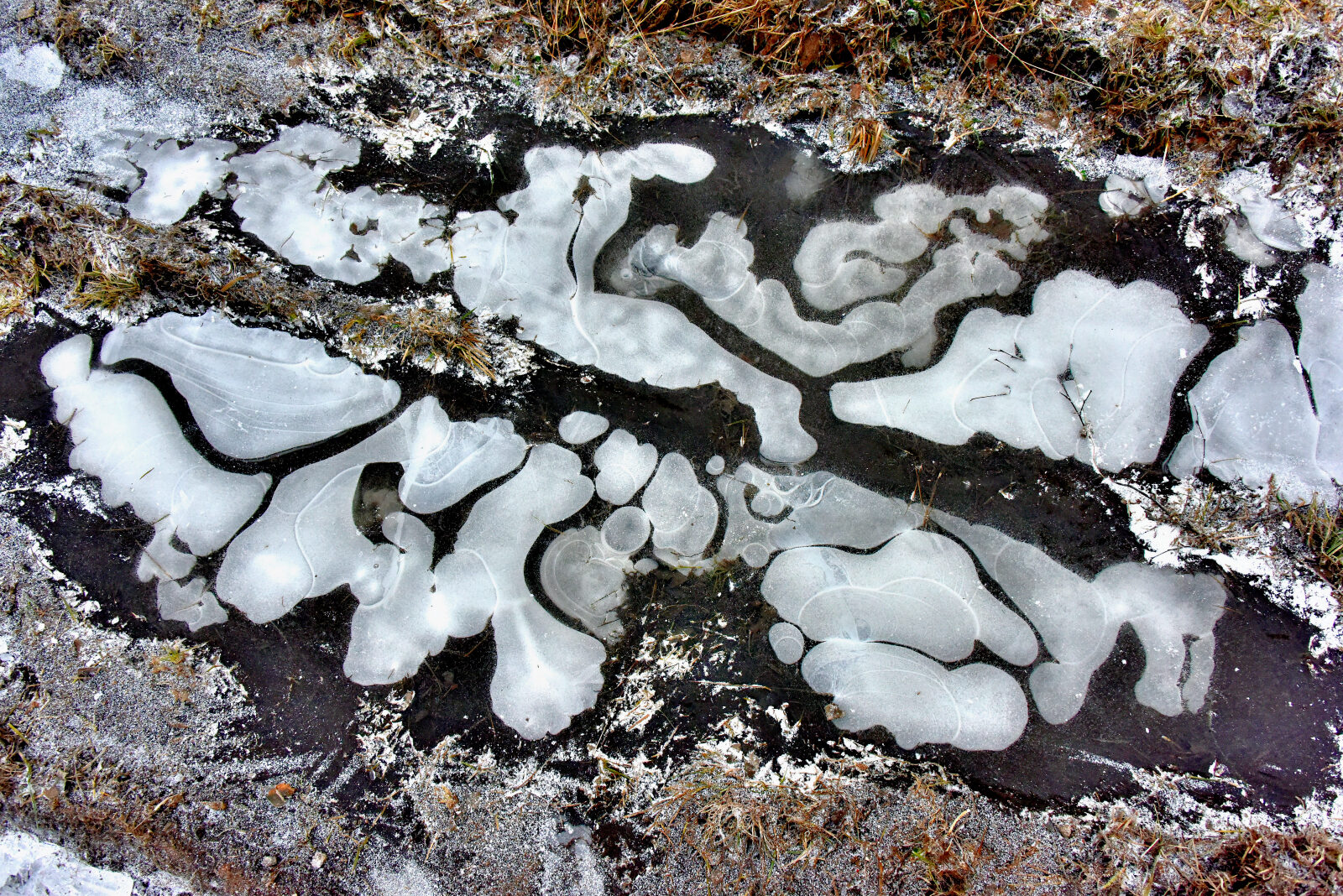 Valokuvaaja: Reijo Juurinen