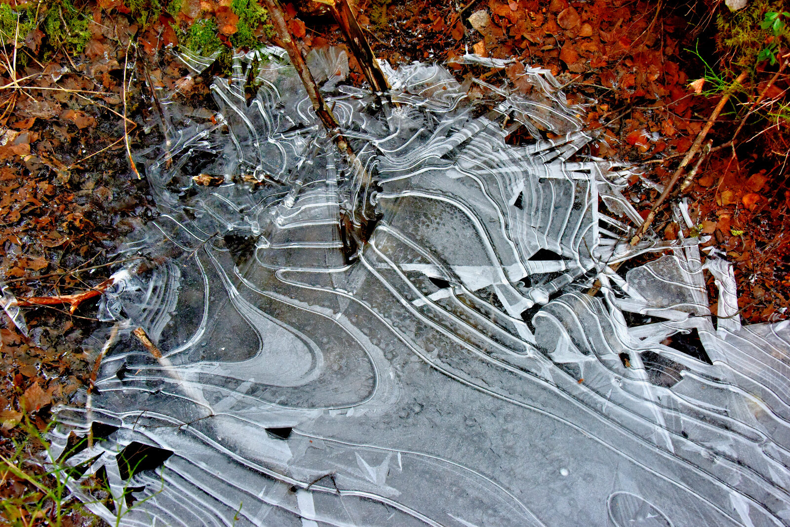 Valokuvaaja: Reijo Juurinen