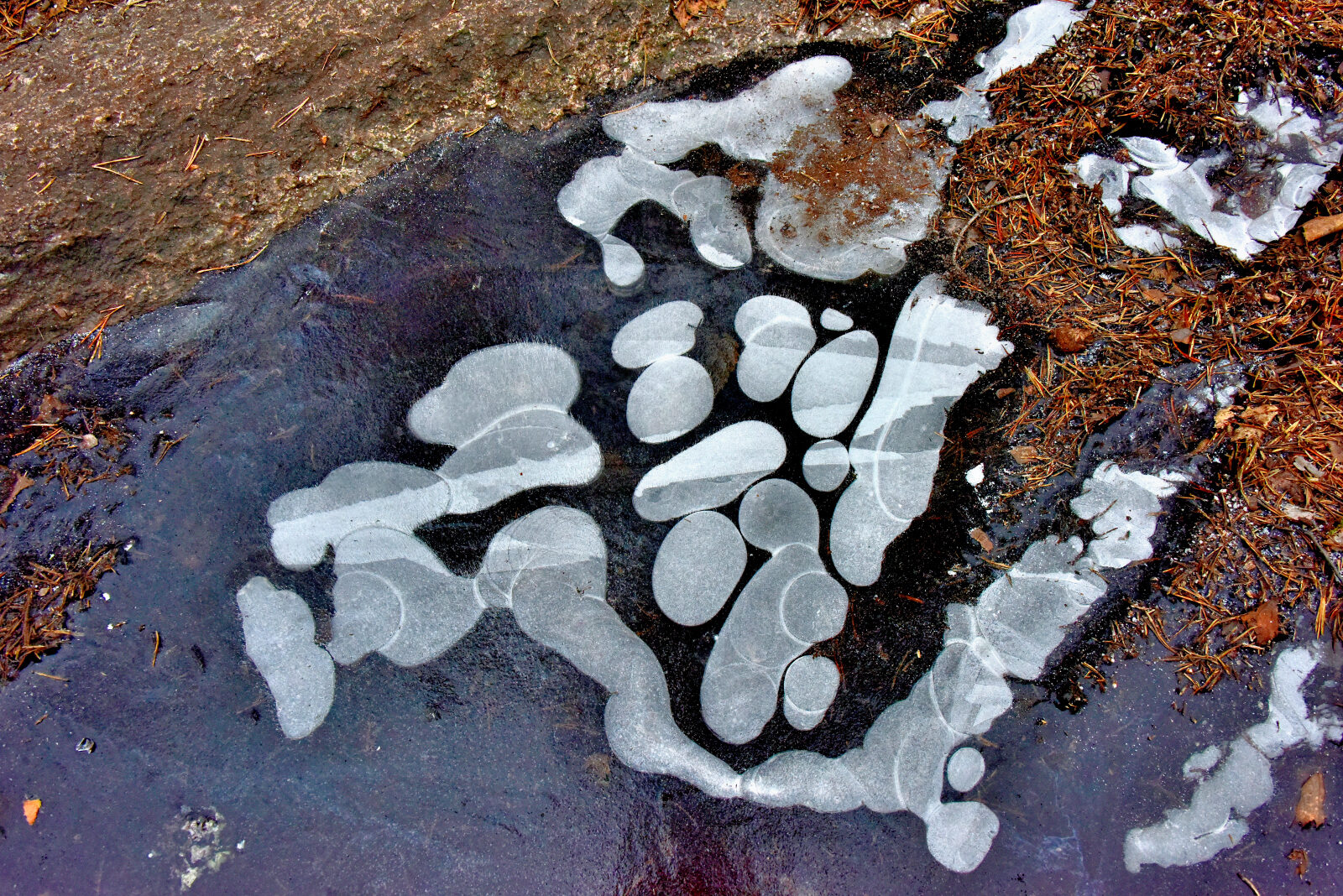 Valokuvaaja: Reijo Juurinen