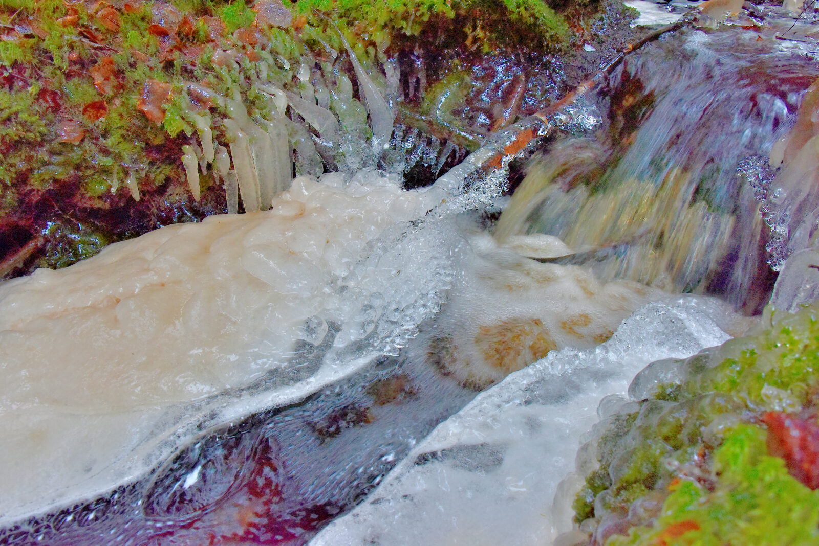 Valokuvaaja: Reijo Juurinen