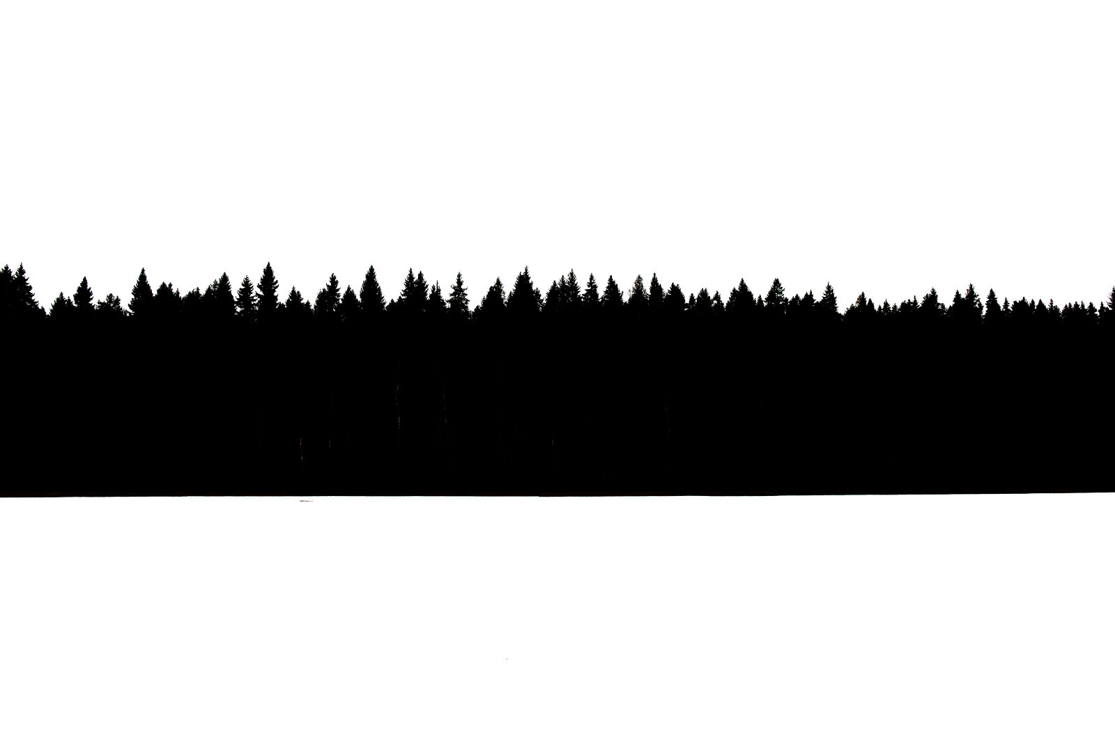 Valokuvaaja: Reijo Juurinen