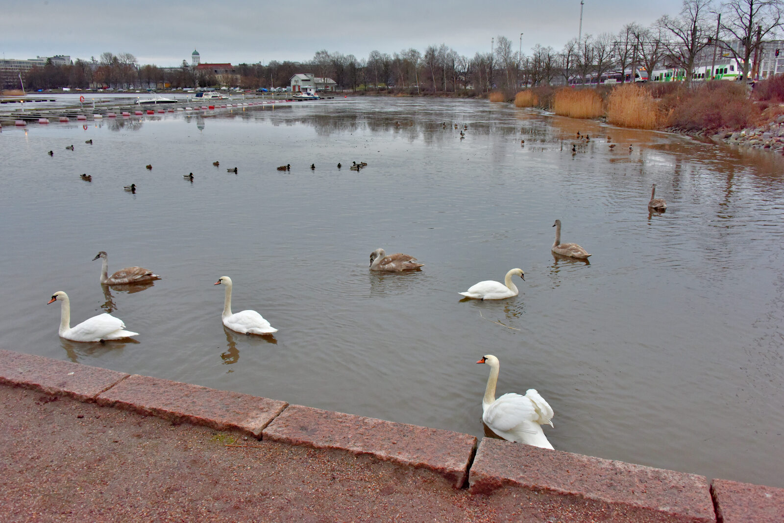 Valokuvaaja: Reijo Juurinen
