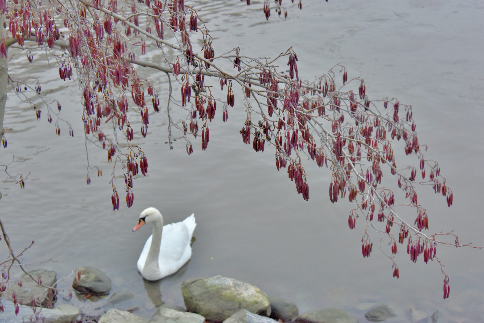 Valokuvaaja: Reijo Juurinen