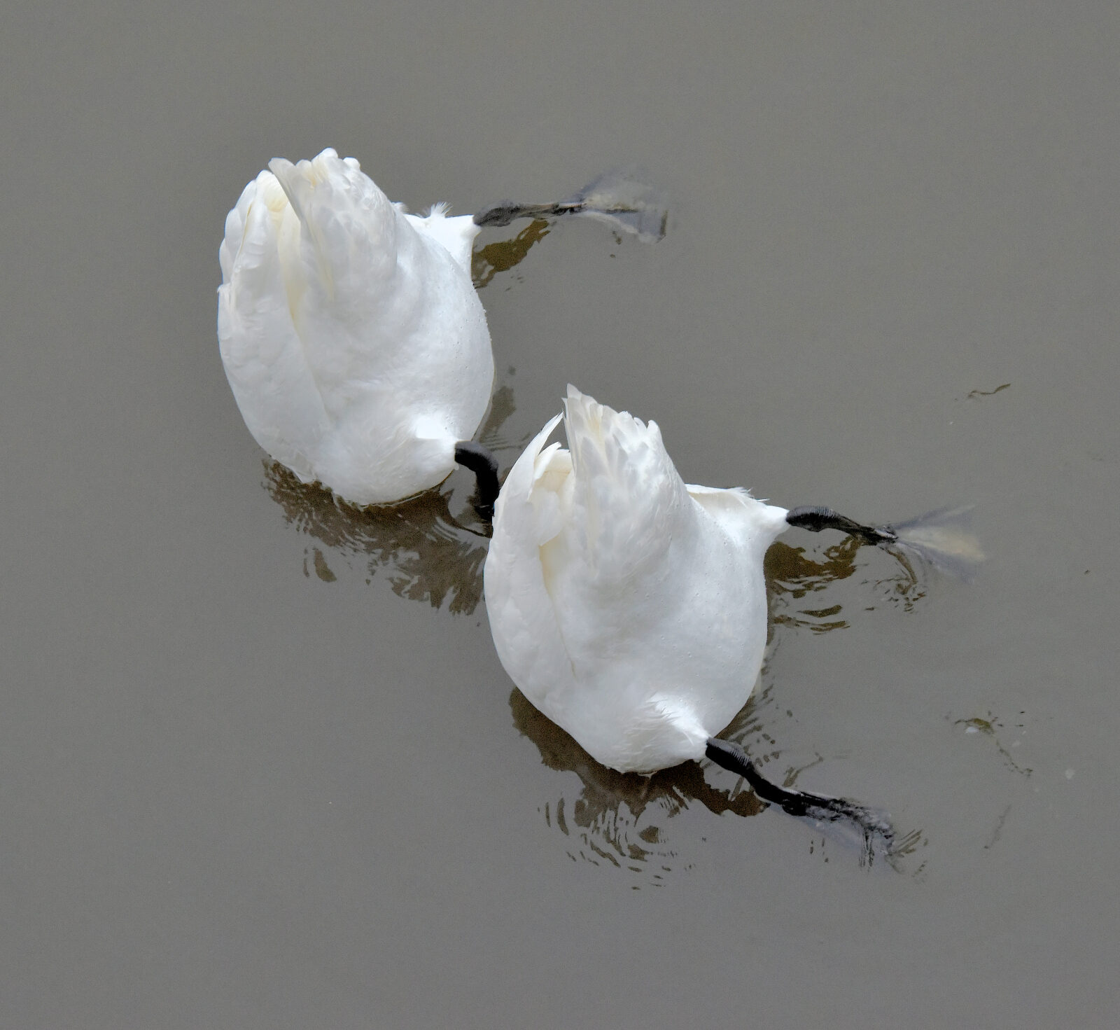 Valokuvaaja: Reijo Juurinen