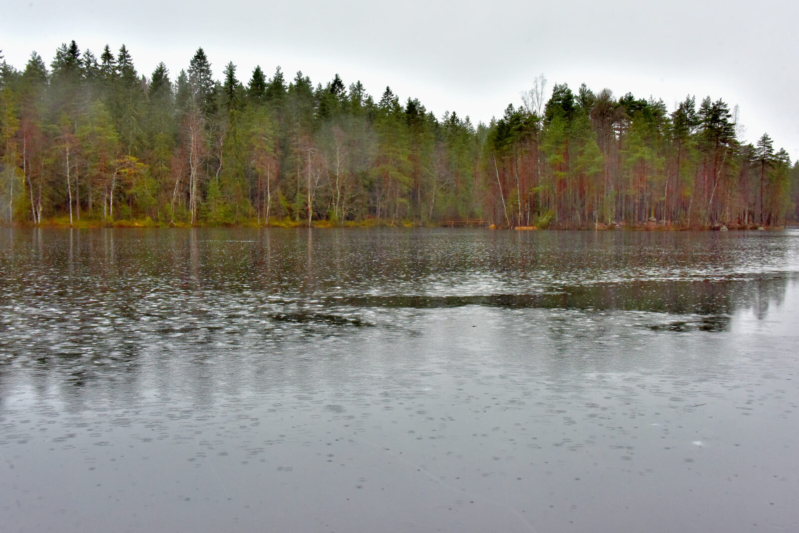 Valokuvaaja: Reijo Juurinen