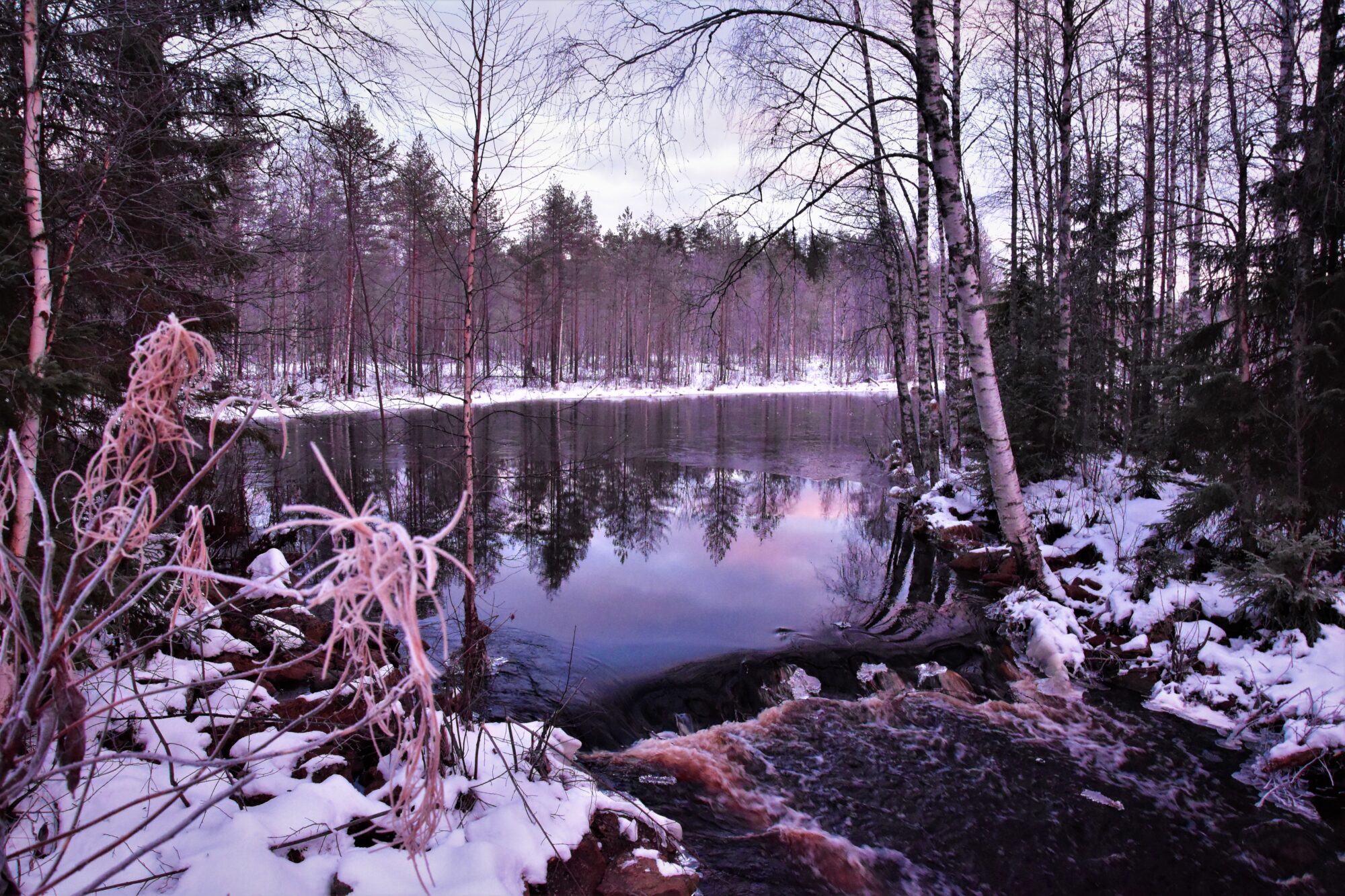 Valokuvaaja: Lahja Toivanen
