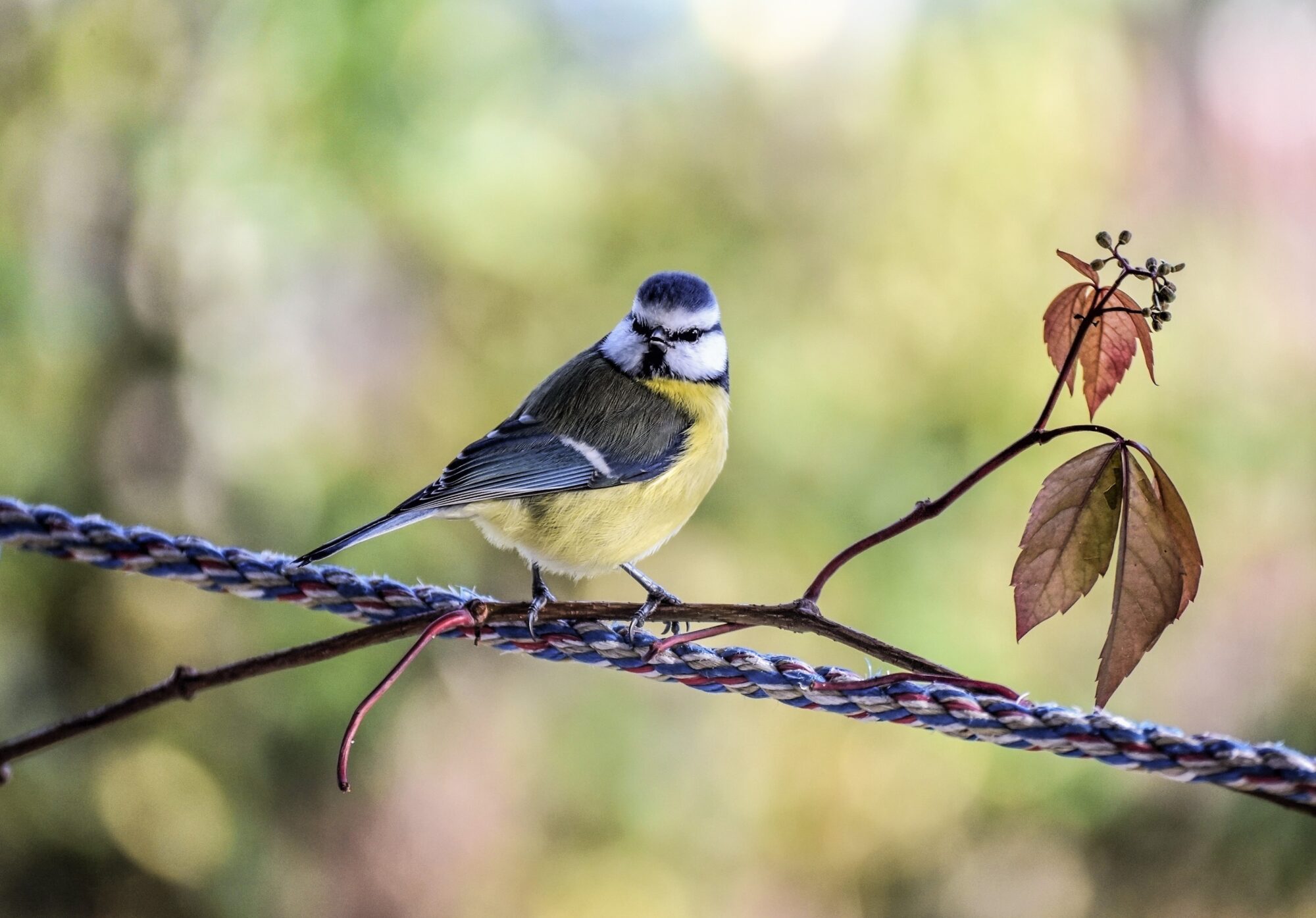 Valokuvaaja: Leena Latvala
