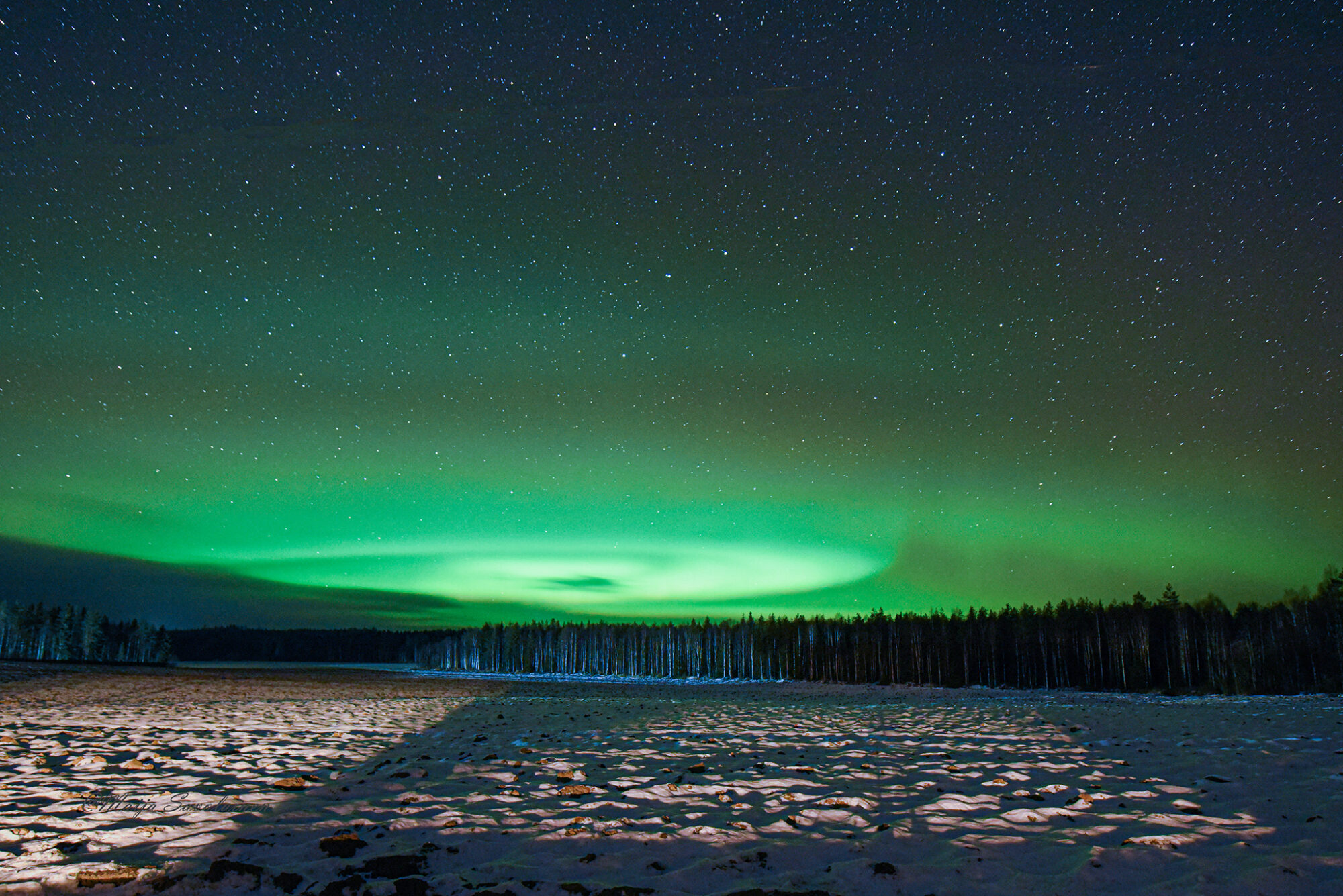 REVONTULTEN LOIMUNTAA