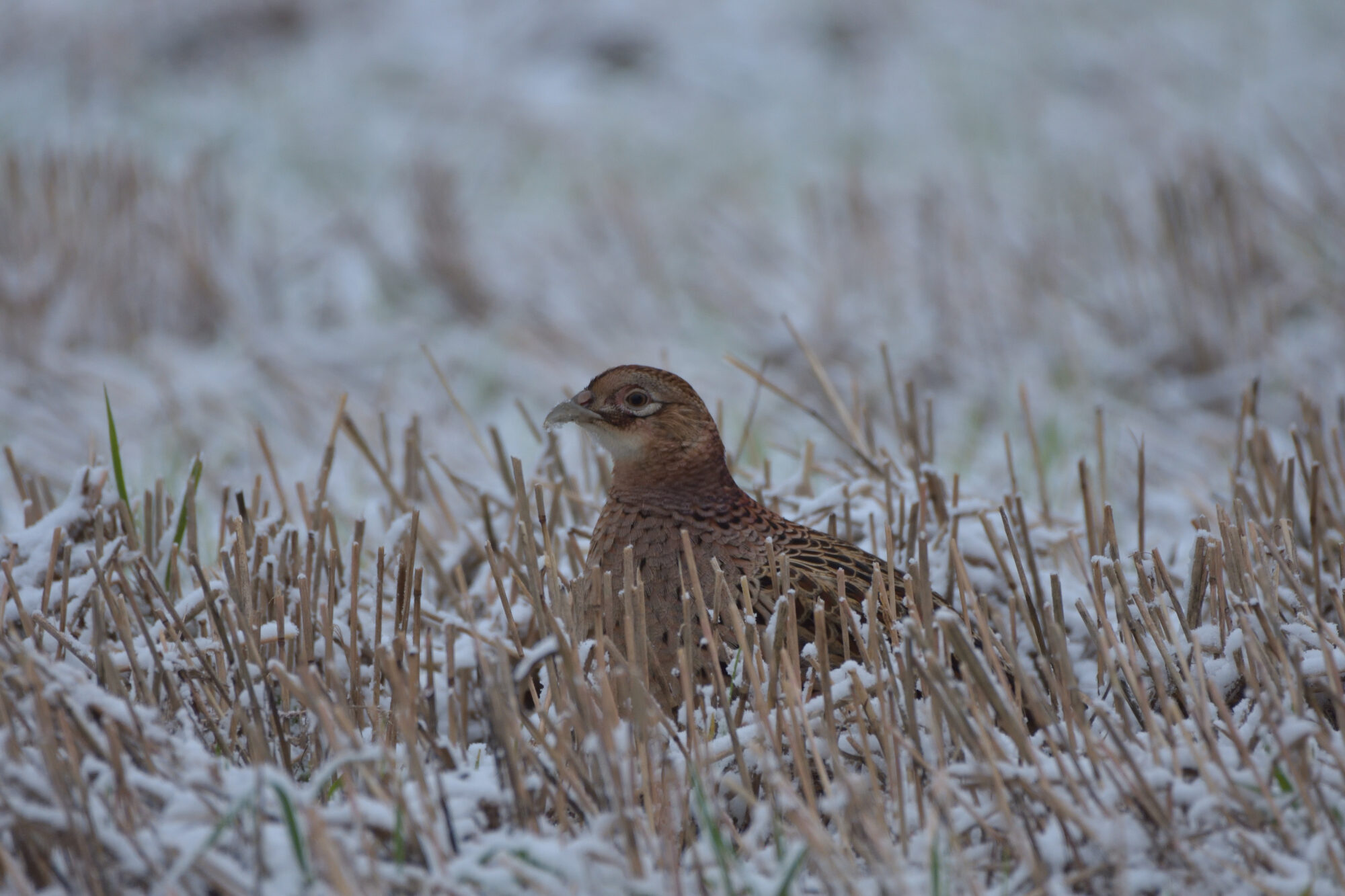 Valokuvaaja: Asko Heikkinen