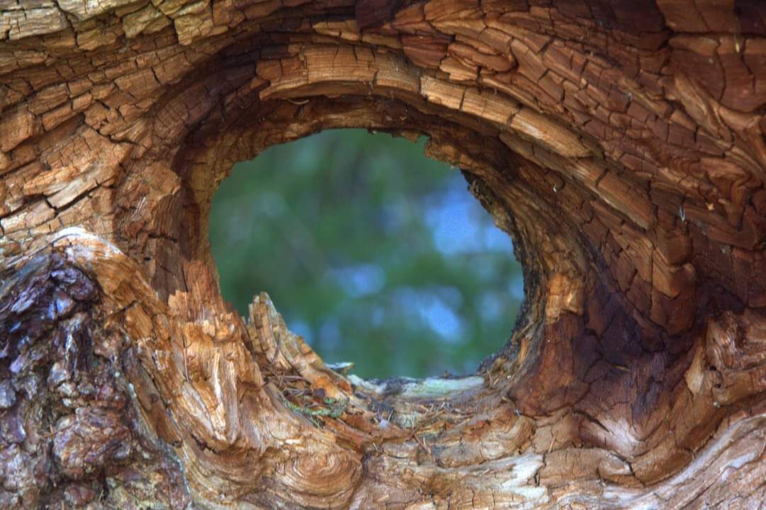 Valokuvaaja: Tapio Keinonen