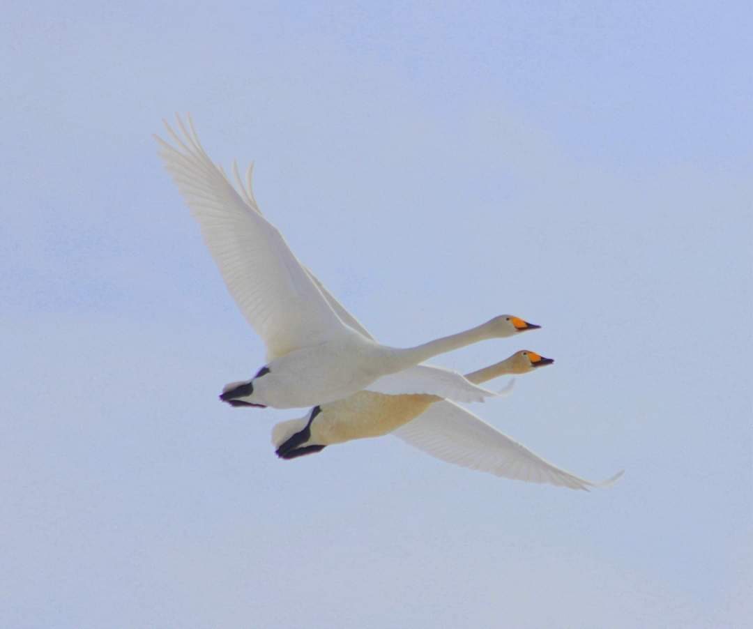 Valokuvaaja: Tapio Keinonen