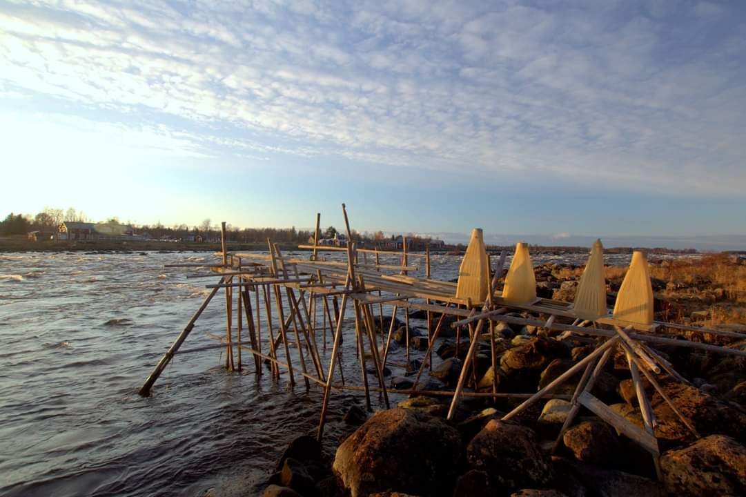 Valokuvaaja: Tapio Keinonen