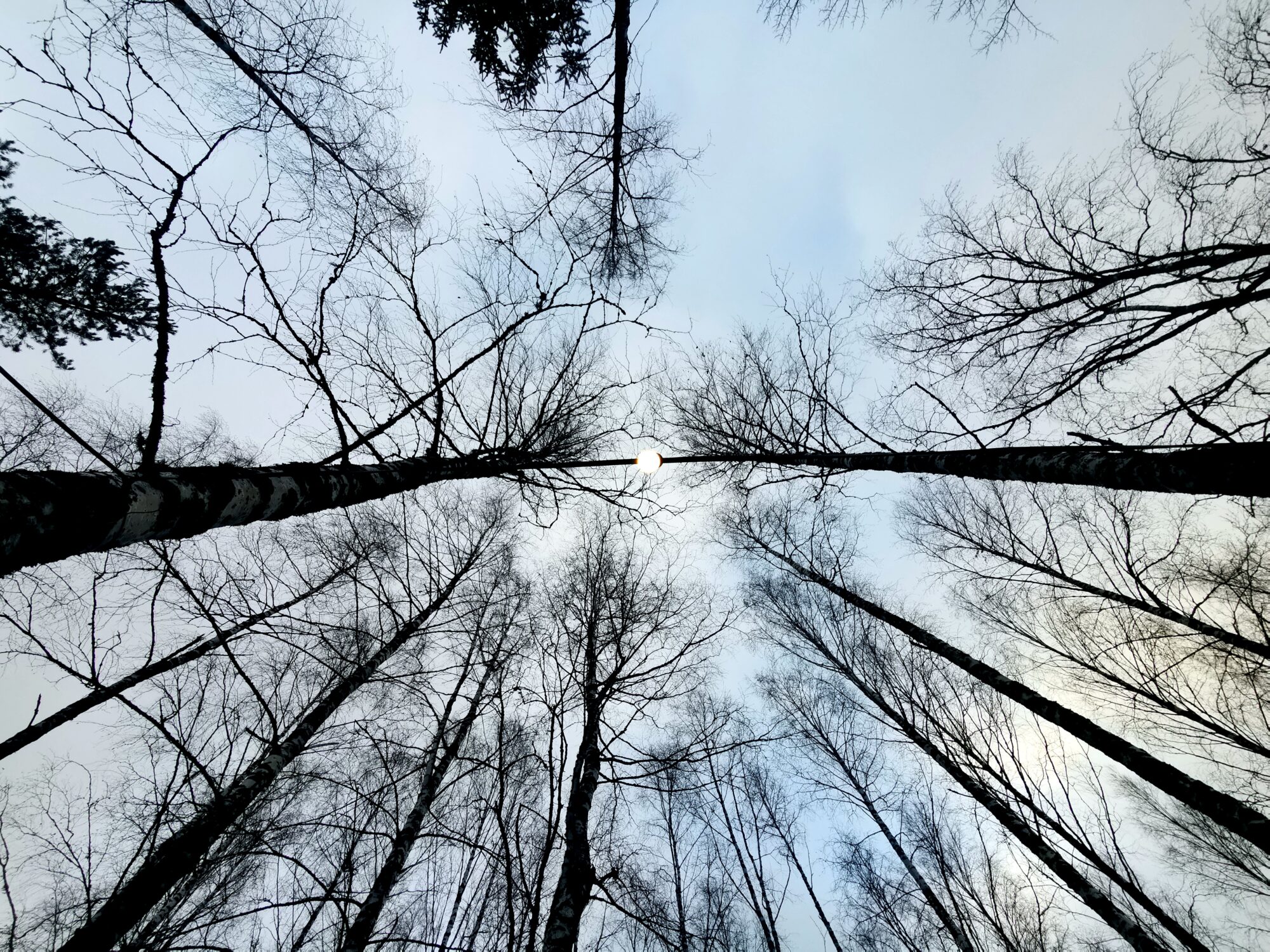 Valokuvaaja: Tapio Keinonen