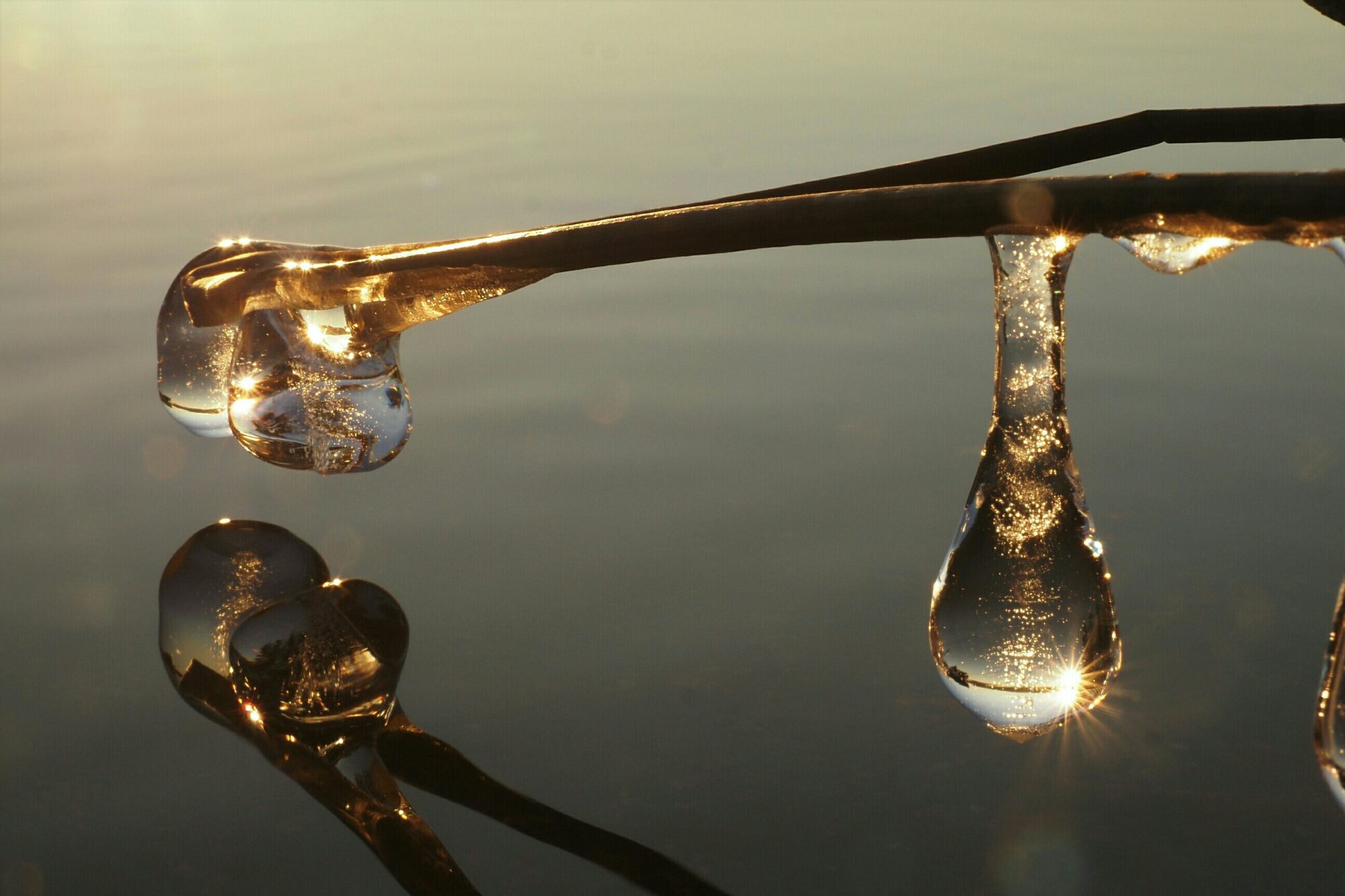 Valokuvaaja: Mikkola Irma