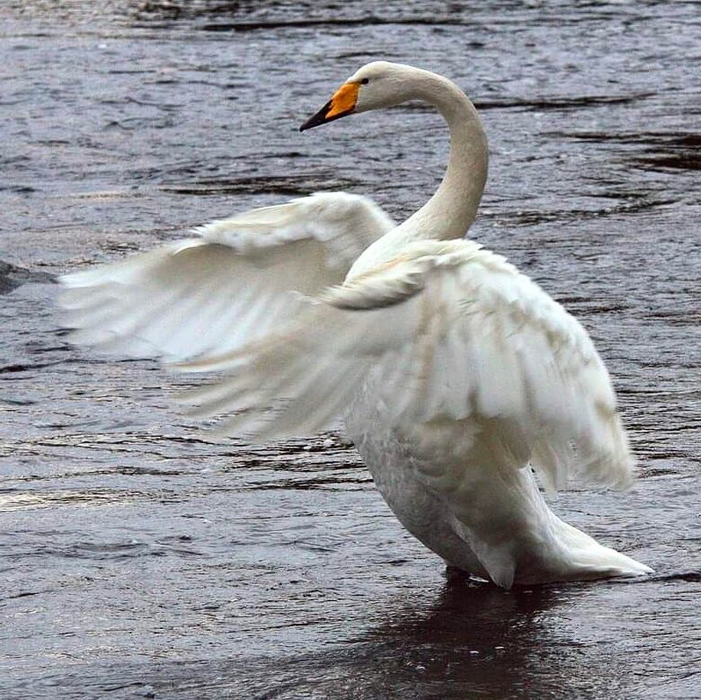 Valokuvaaja: Tapio Keinonen