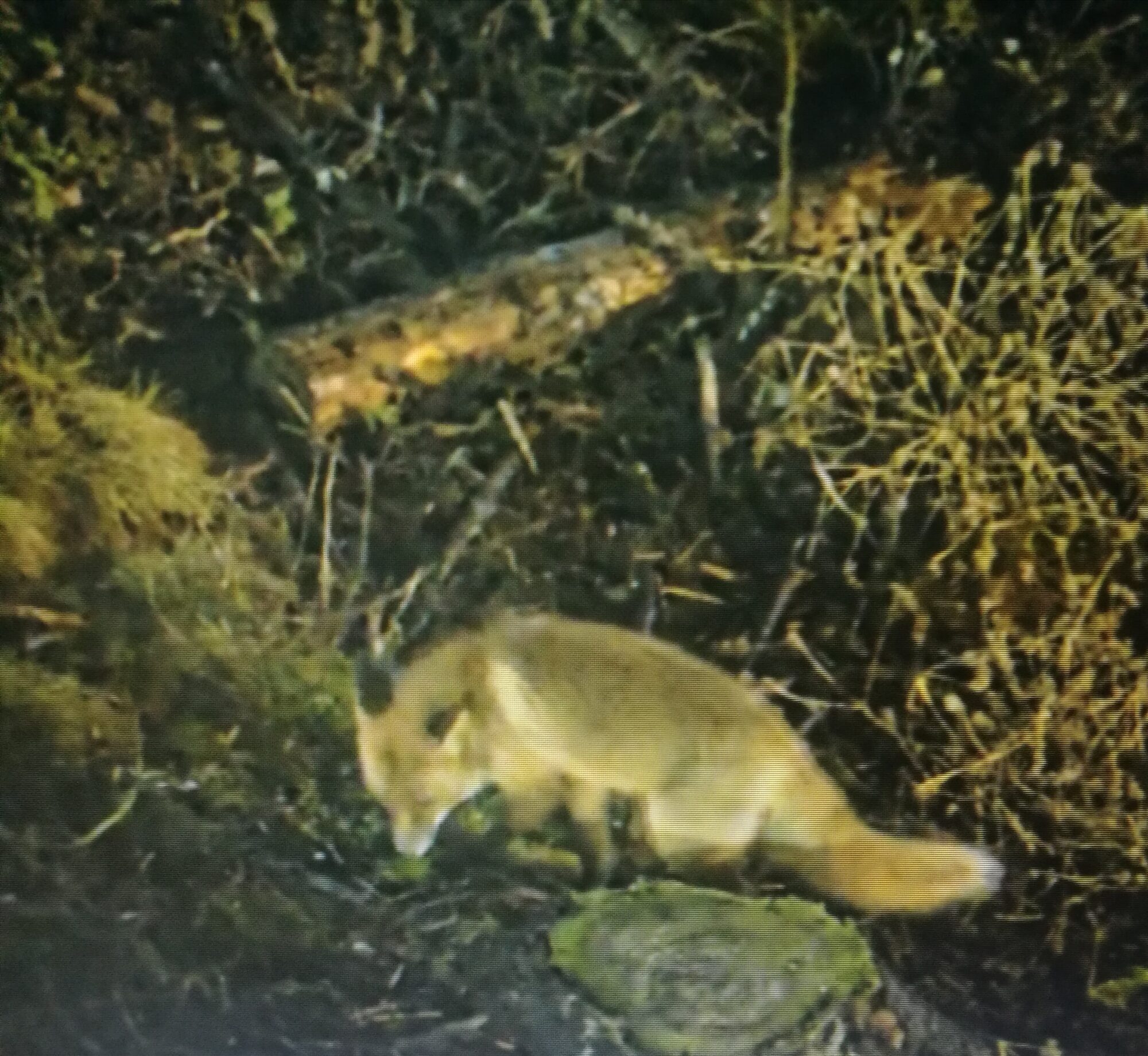 Valokuvaaja: Riitta Alanoja