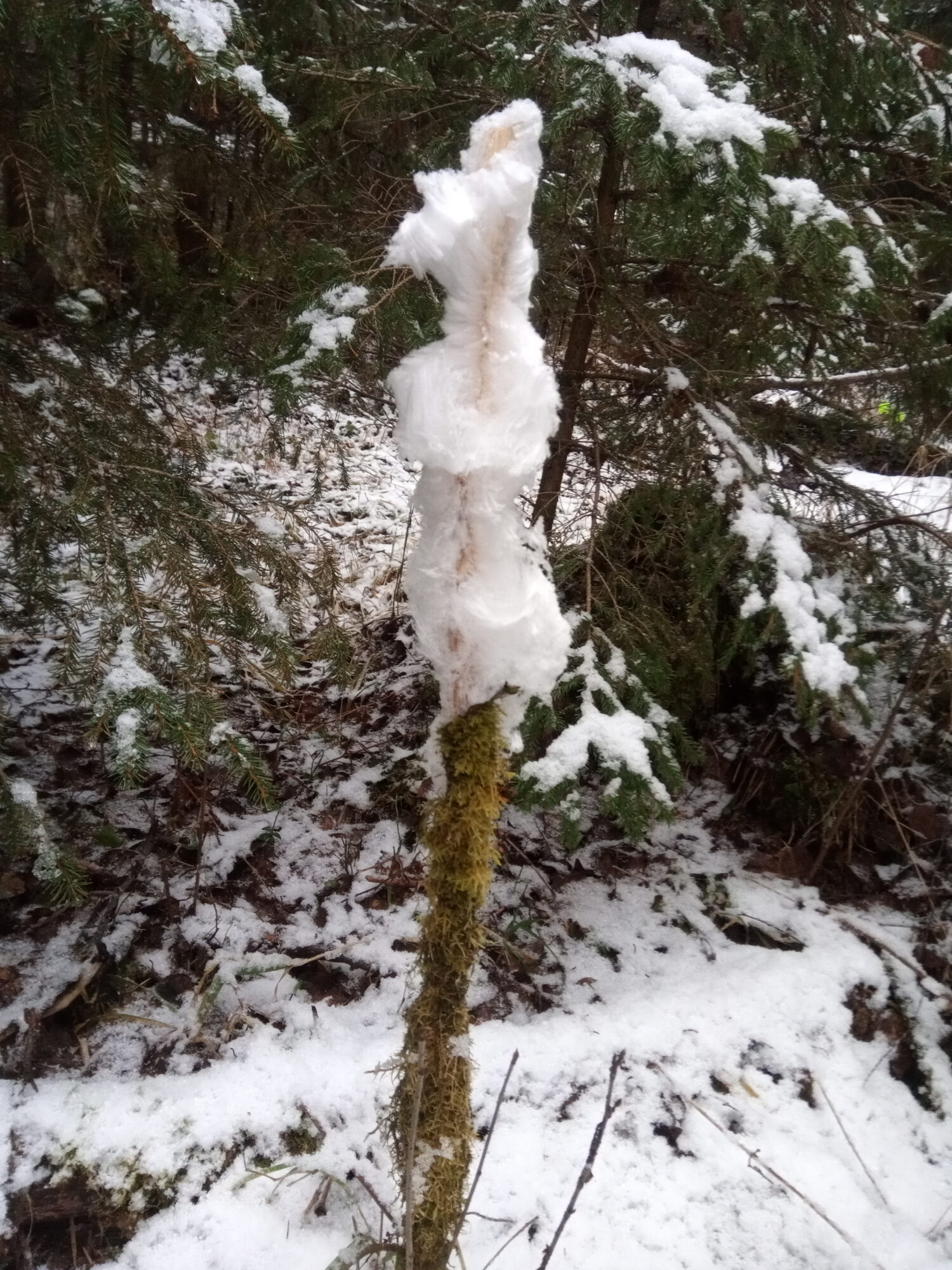 Valokuvaaja: Antti Luukas Anttila