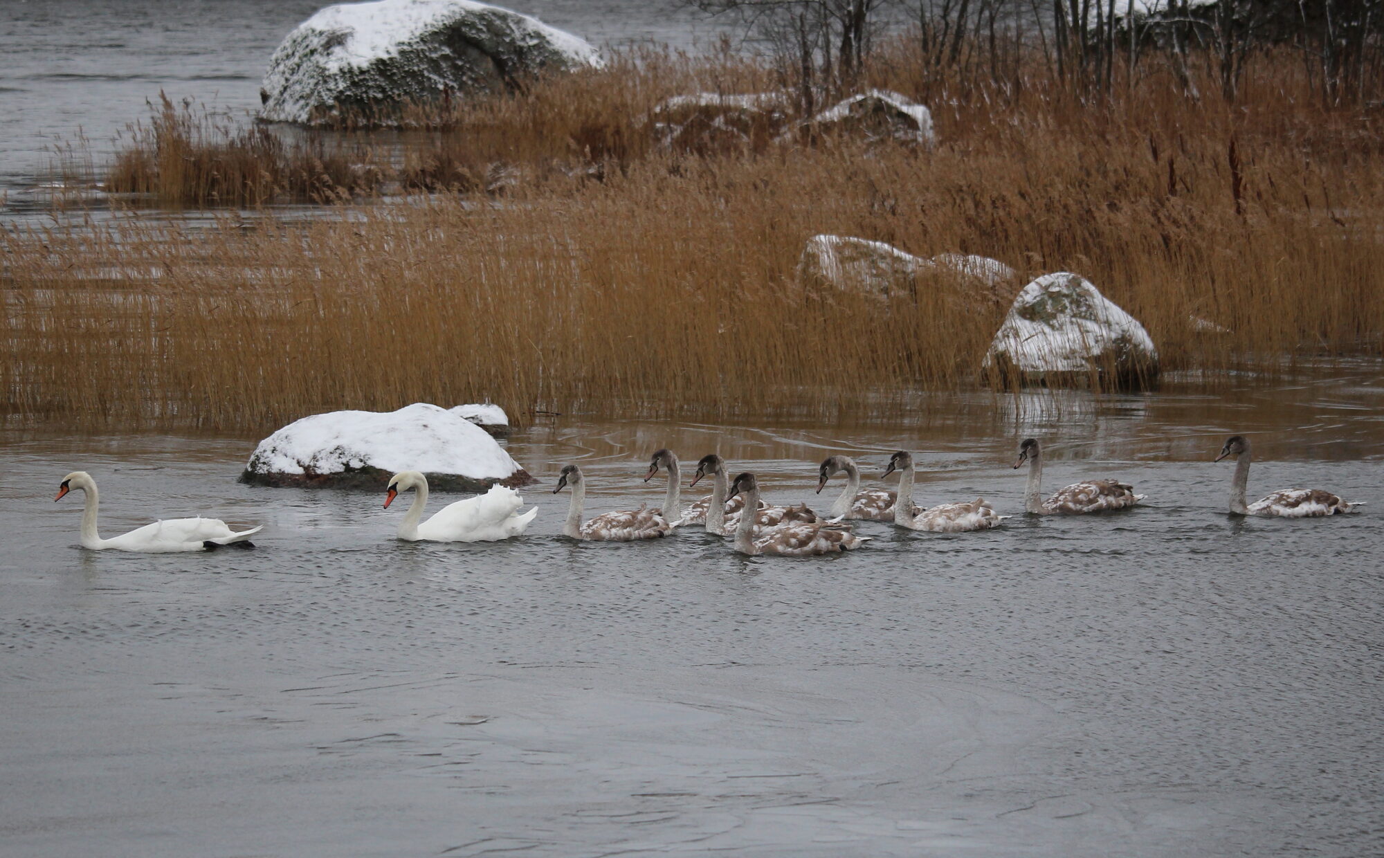 Valokuvaaja: Kirsi-Marja Joenpolvi