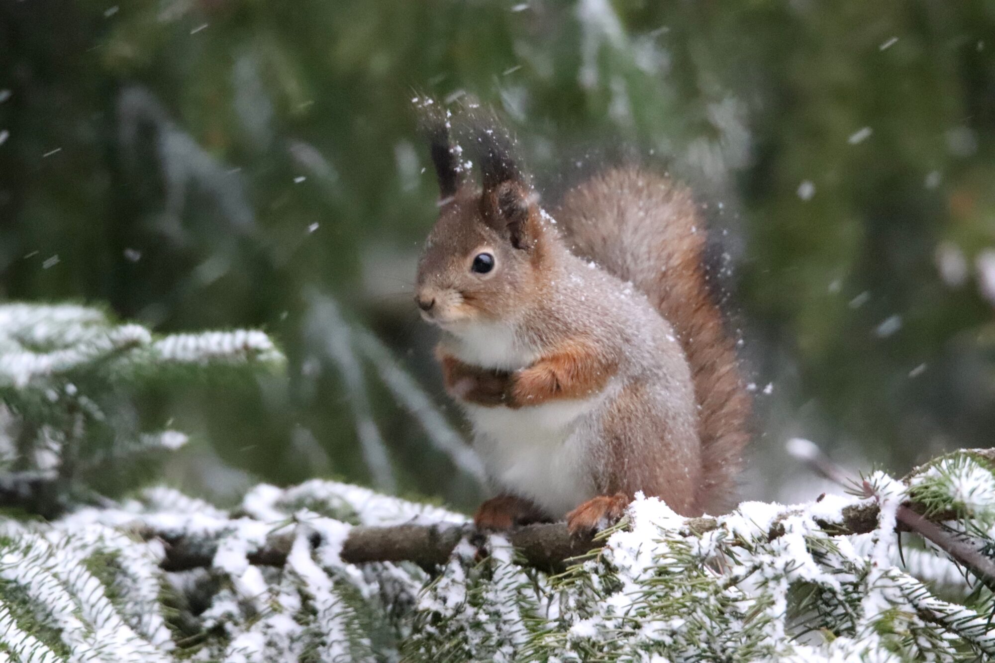 Valokuvaaja: Irja Lehtinen