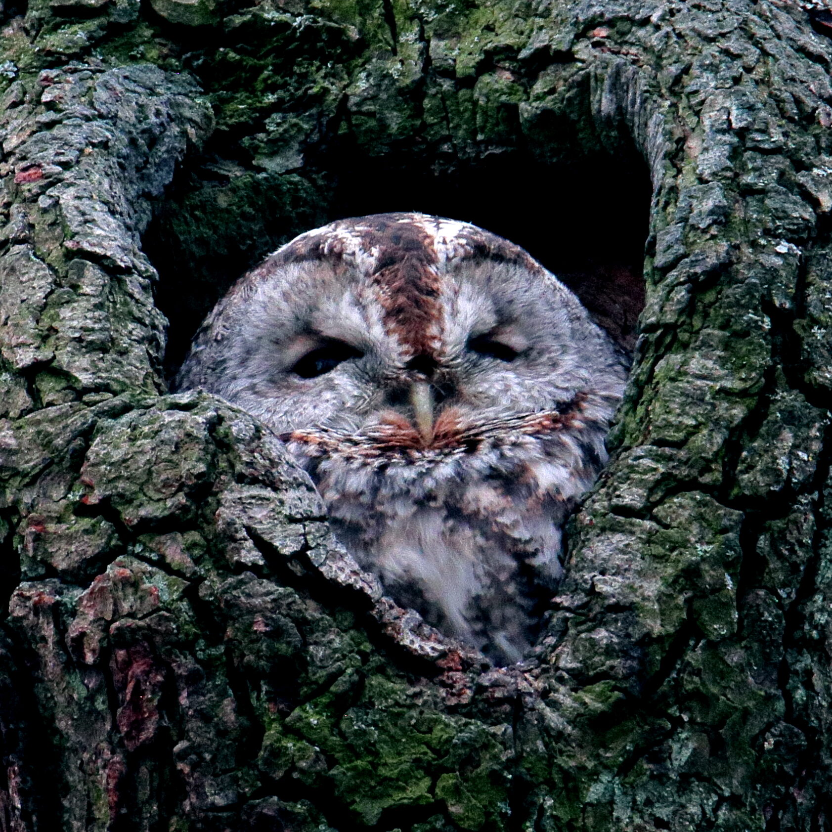 Valokuvaaja: Janne Salomeri