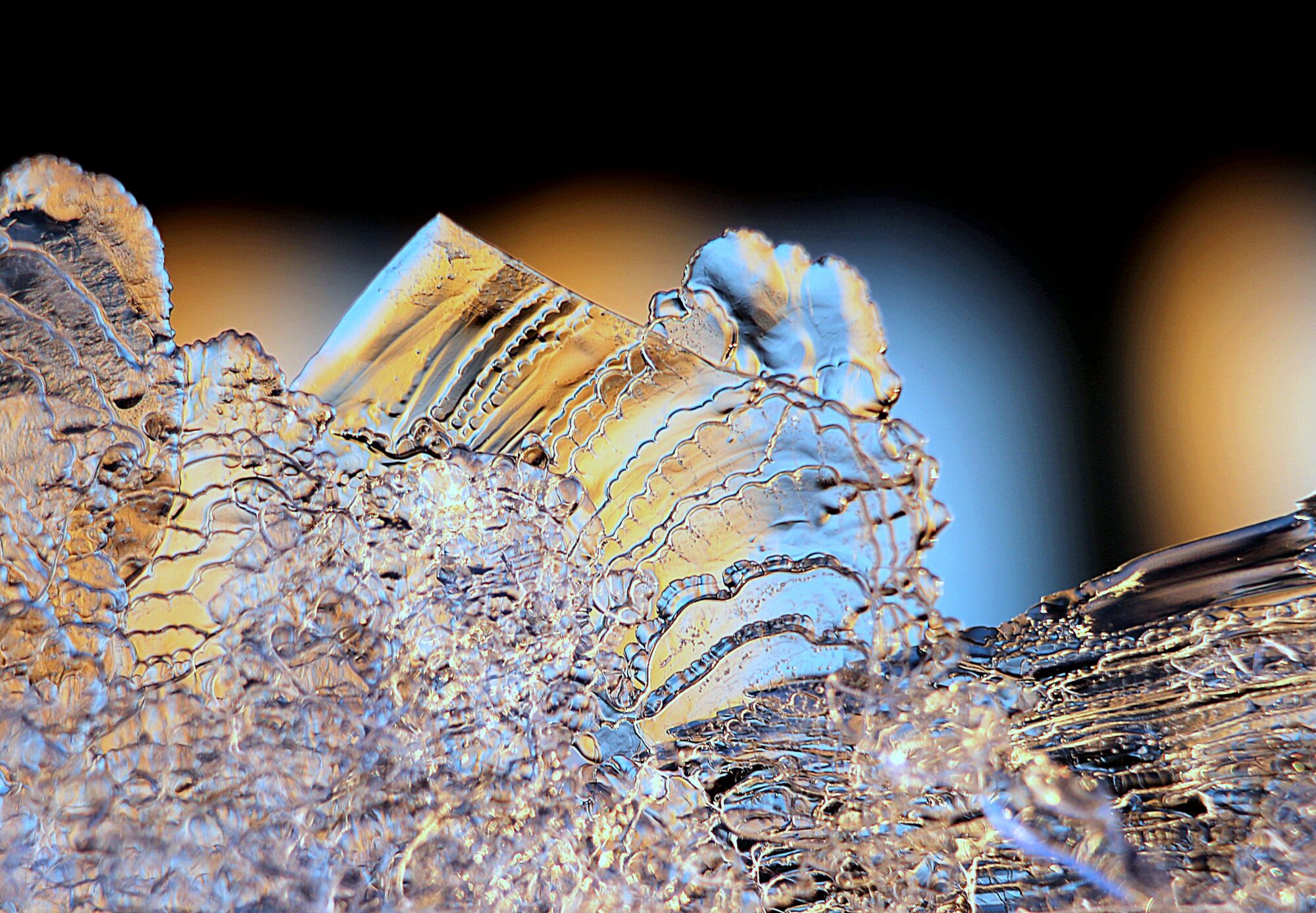 Valokuvaaja: Irja Lehtinen