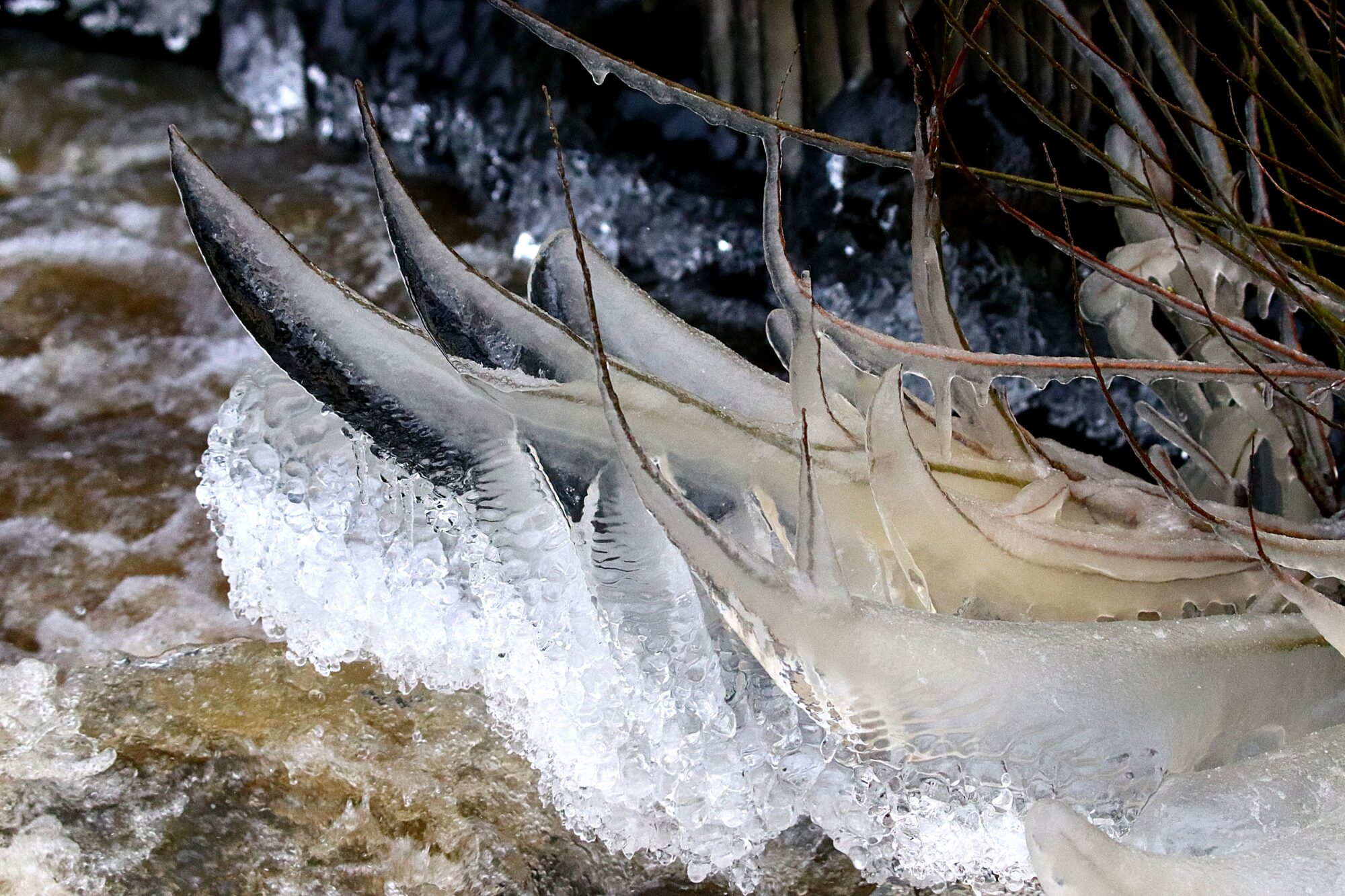Valokuvaaja: Irja Lehtinen