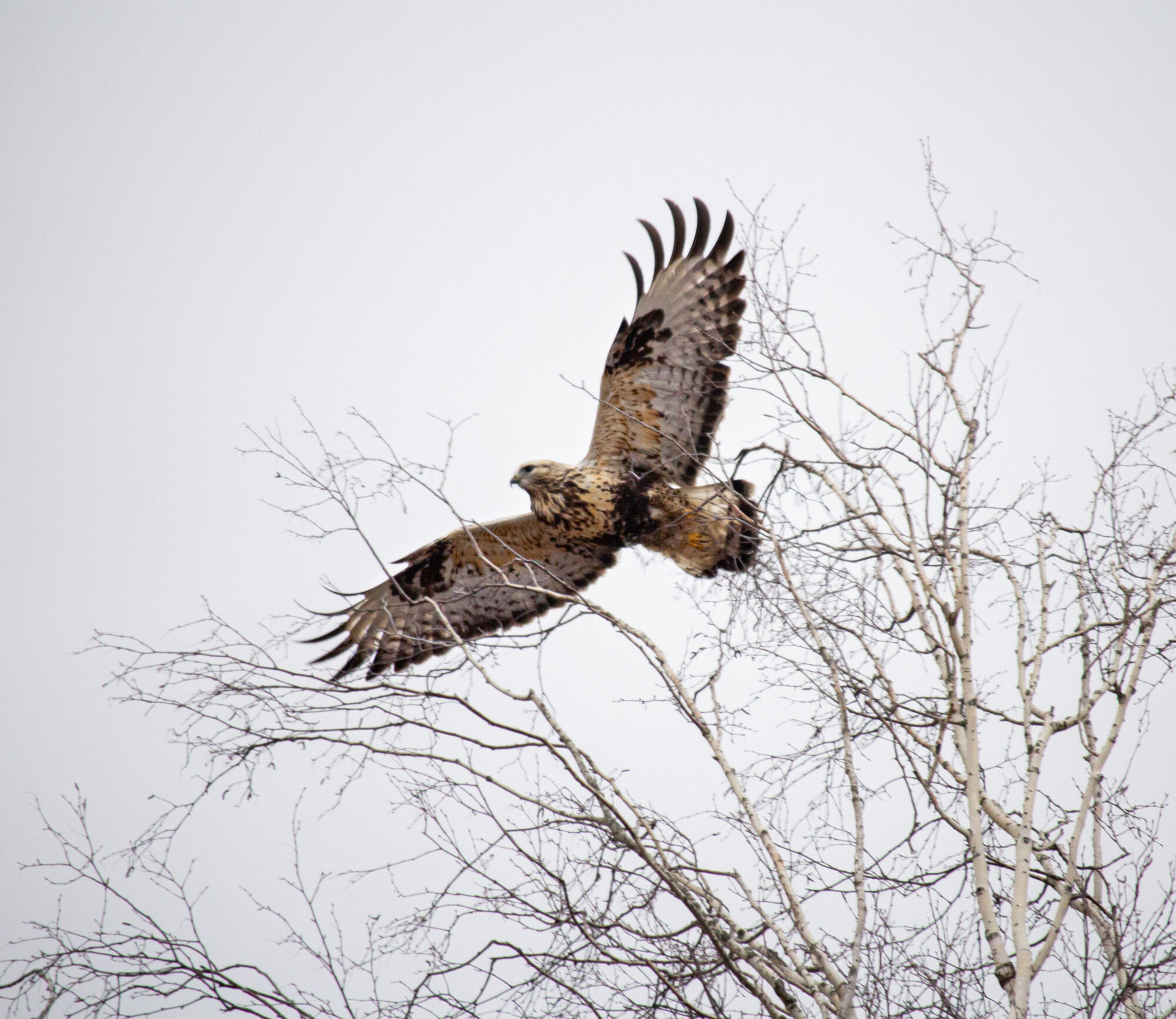 Valokuvaaja: Katariina Nurmi