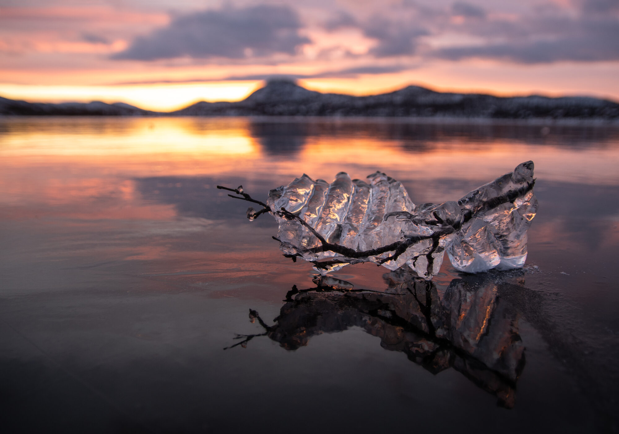 Valokuvaaja: Katri Niskanen